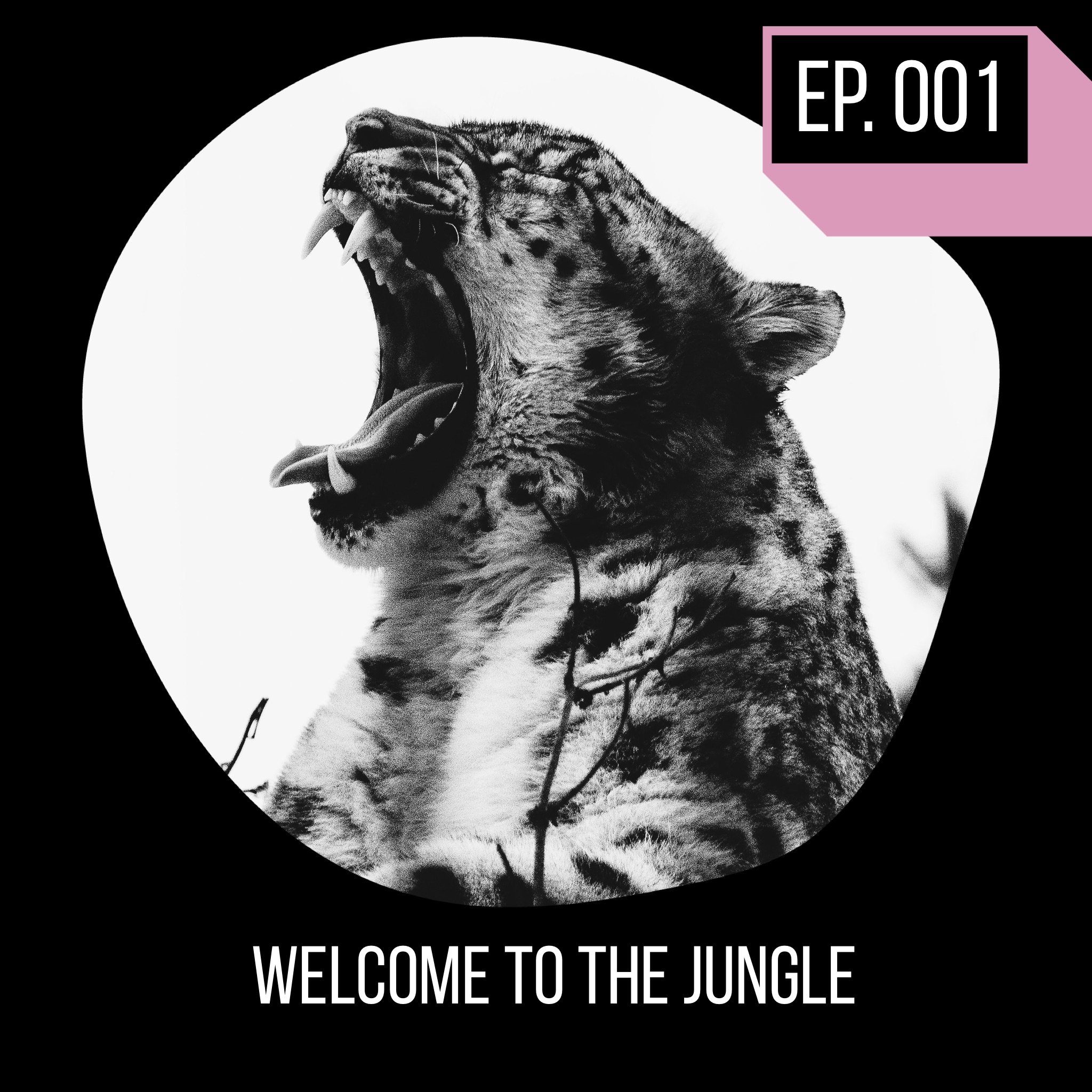 Jungle Roar  Podcast on Spotify