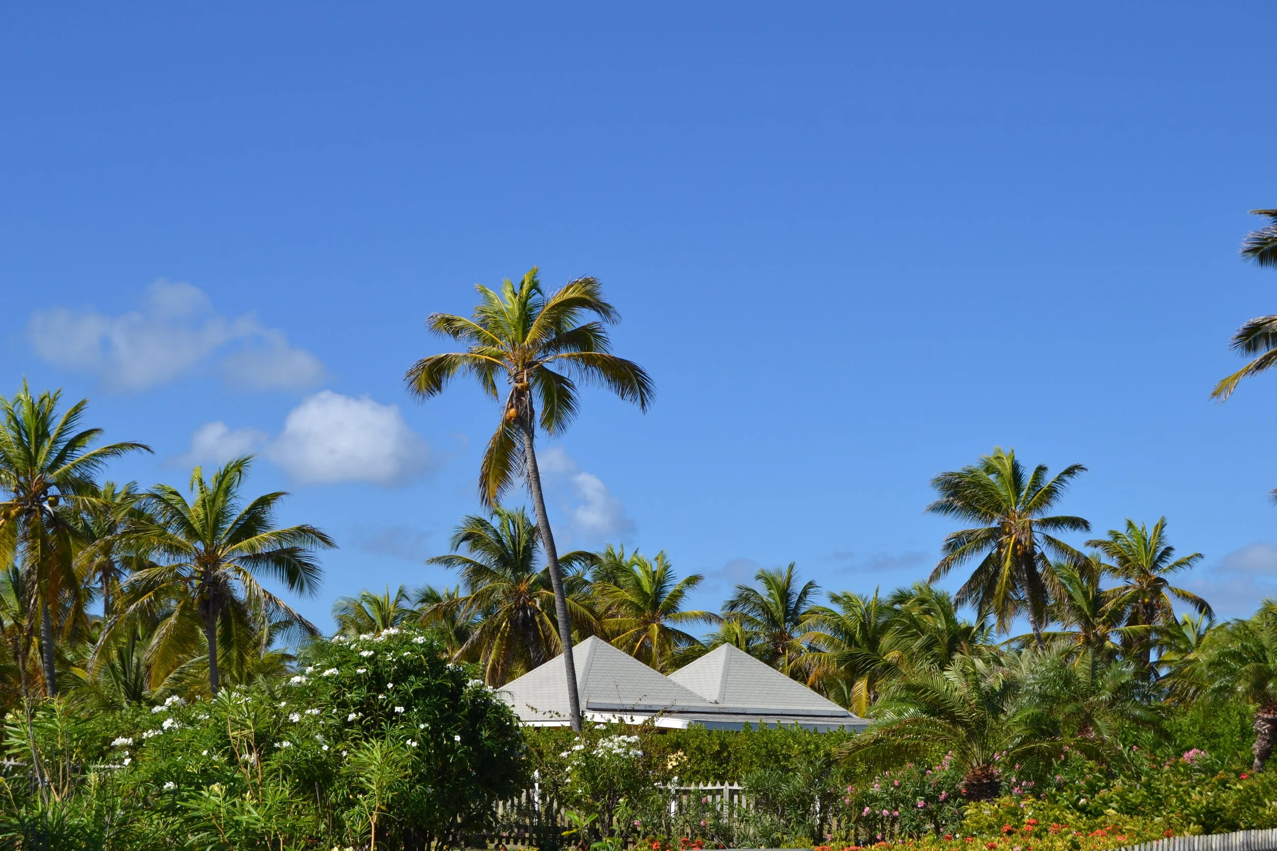 DSC_0079.JPG