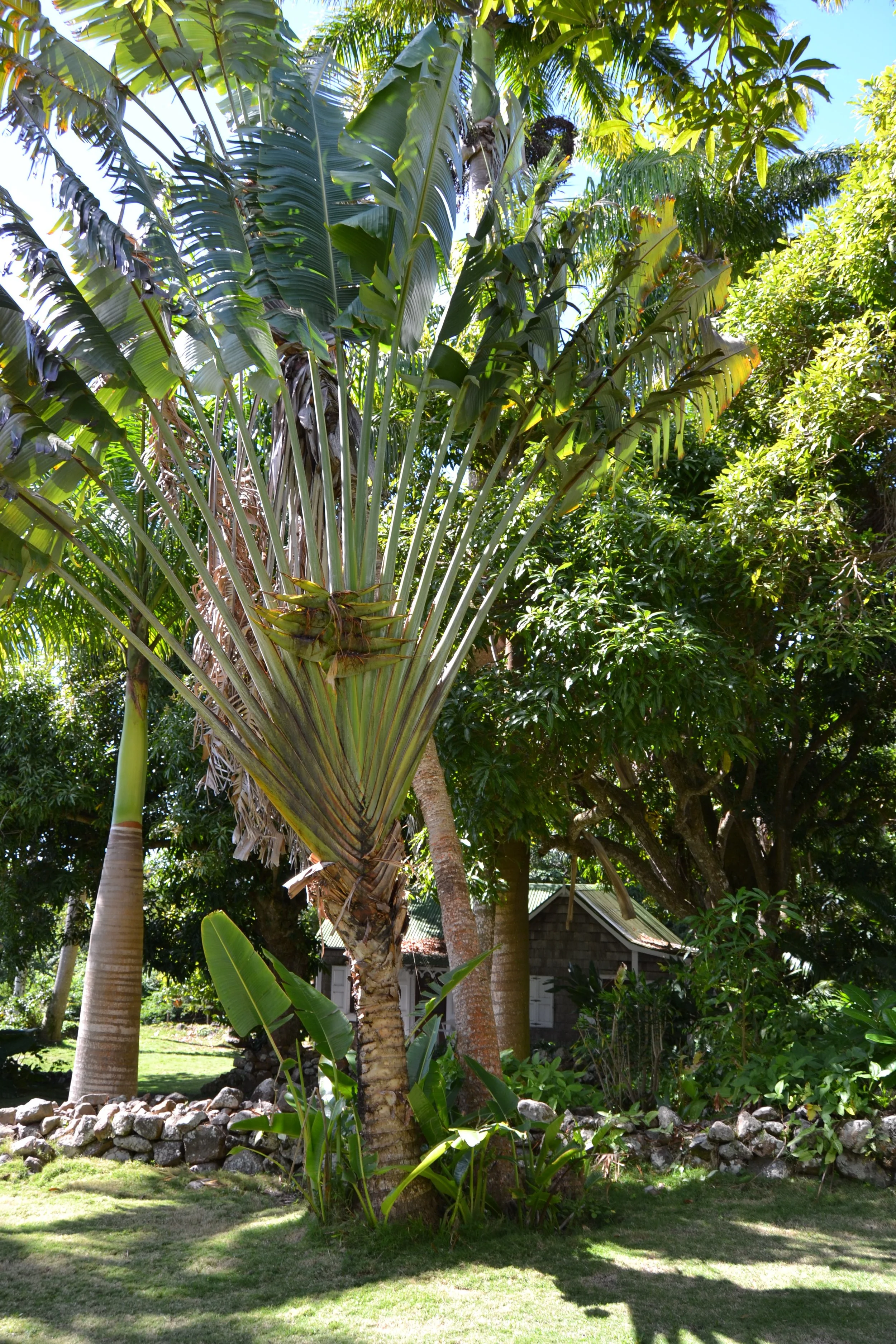 DSC_0152.JPG