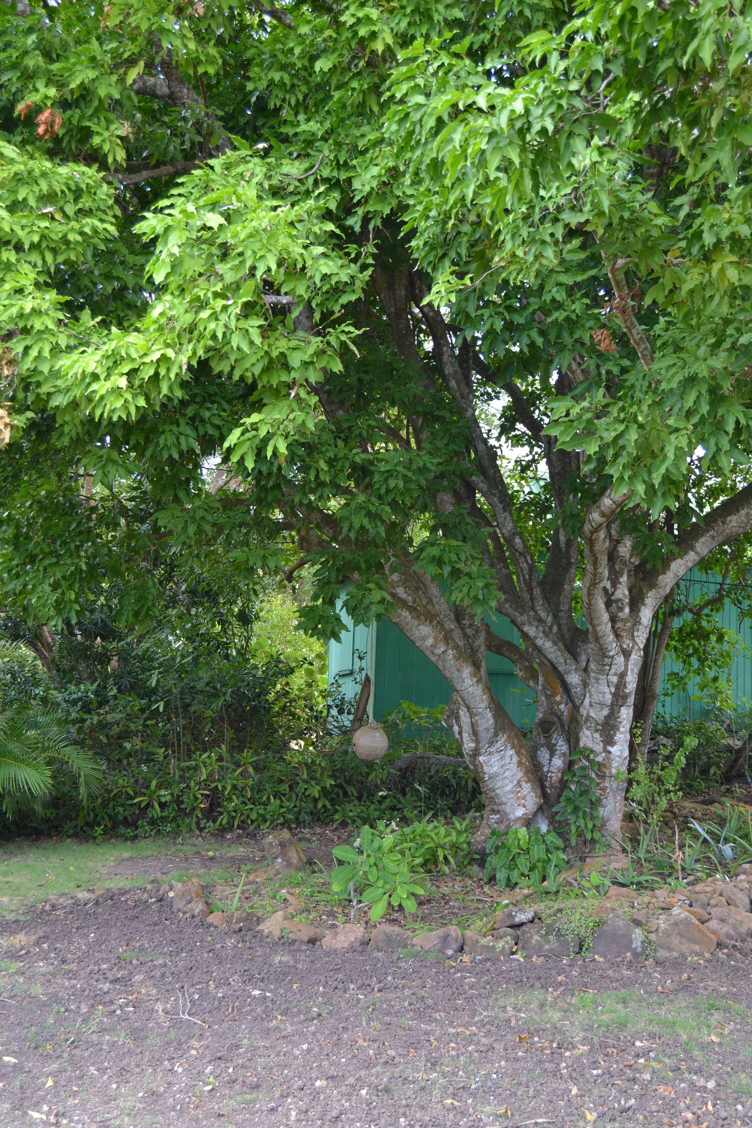 DSC_0173.JPG