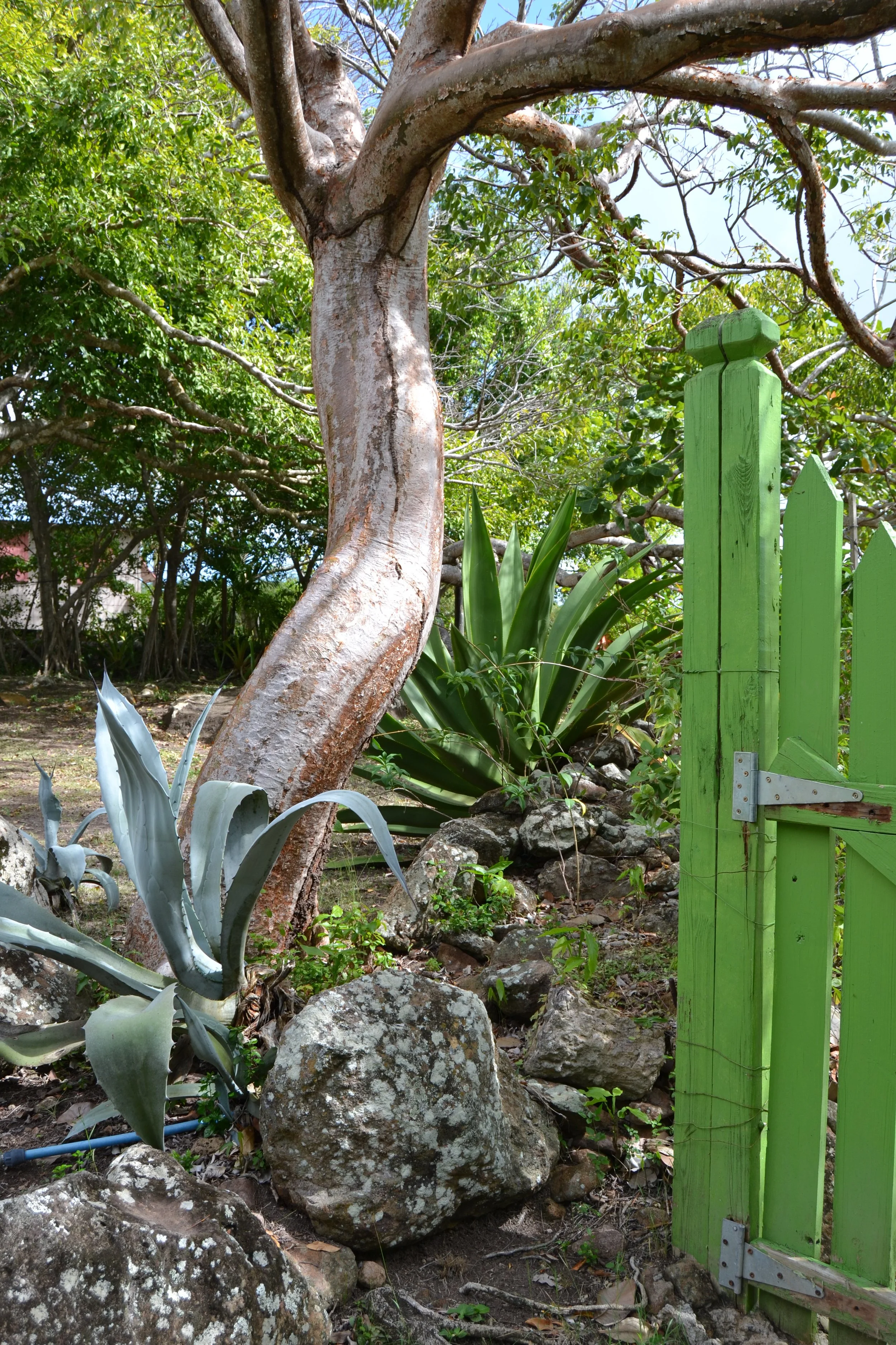 DSC_0197.JPG