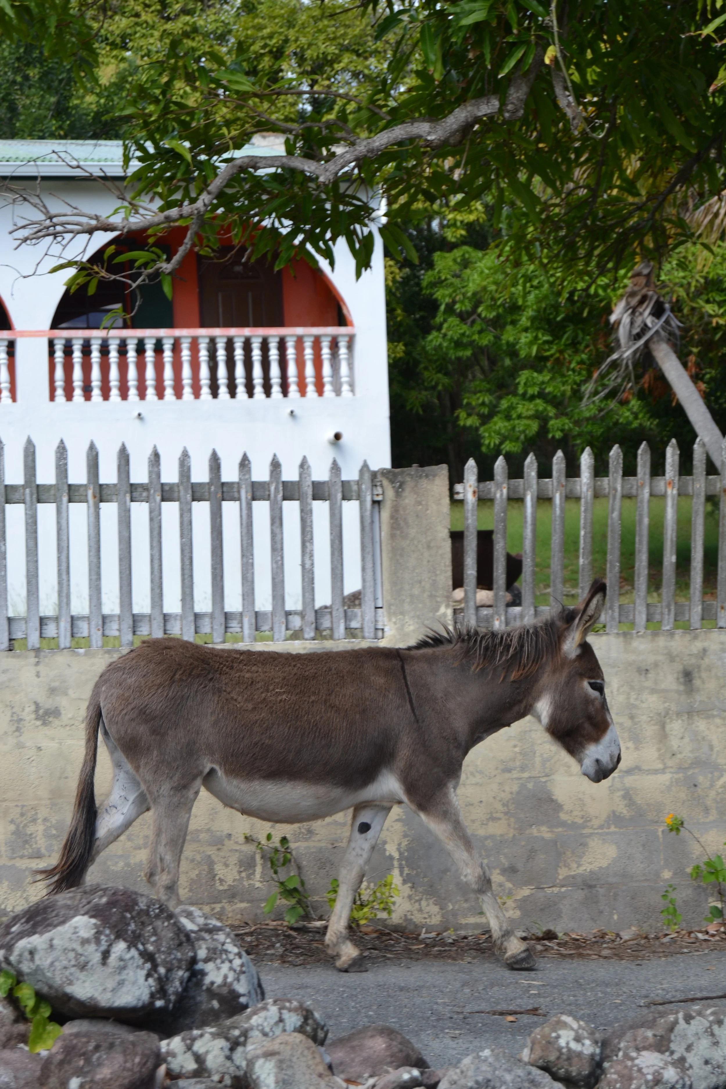 DSC_0965.JPG