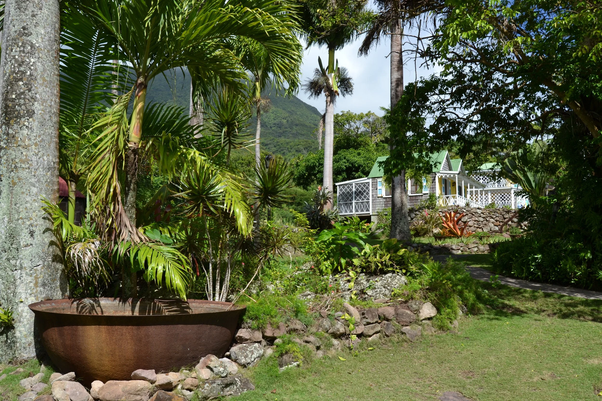 A sugar kettle at The Hermitage property. These large iron bowls were used in the production of sugar at plantations throughout the Caribbean.  