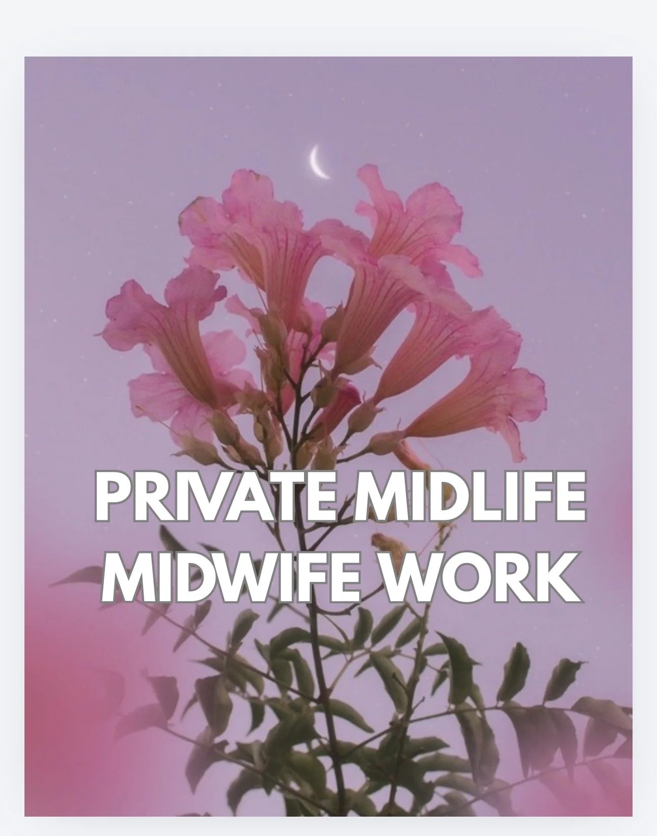 5 Midlife Midwife Mentorships Full Pay