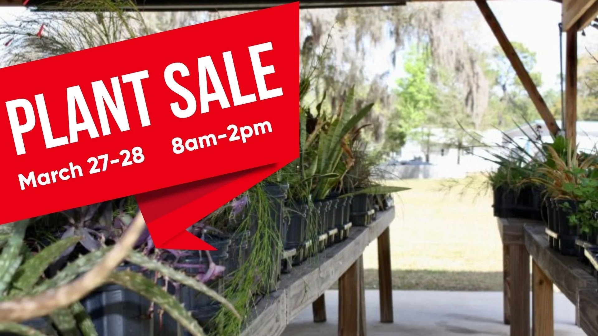 It's Happening: The Neighborhood Plant Market Opens March 27-28