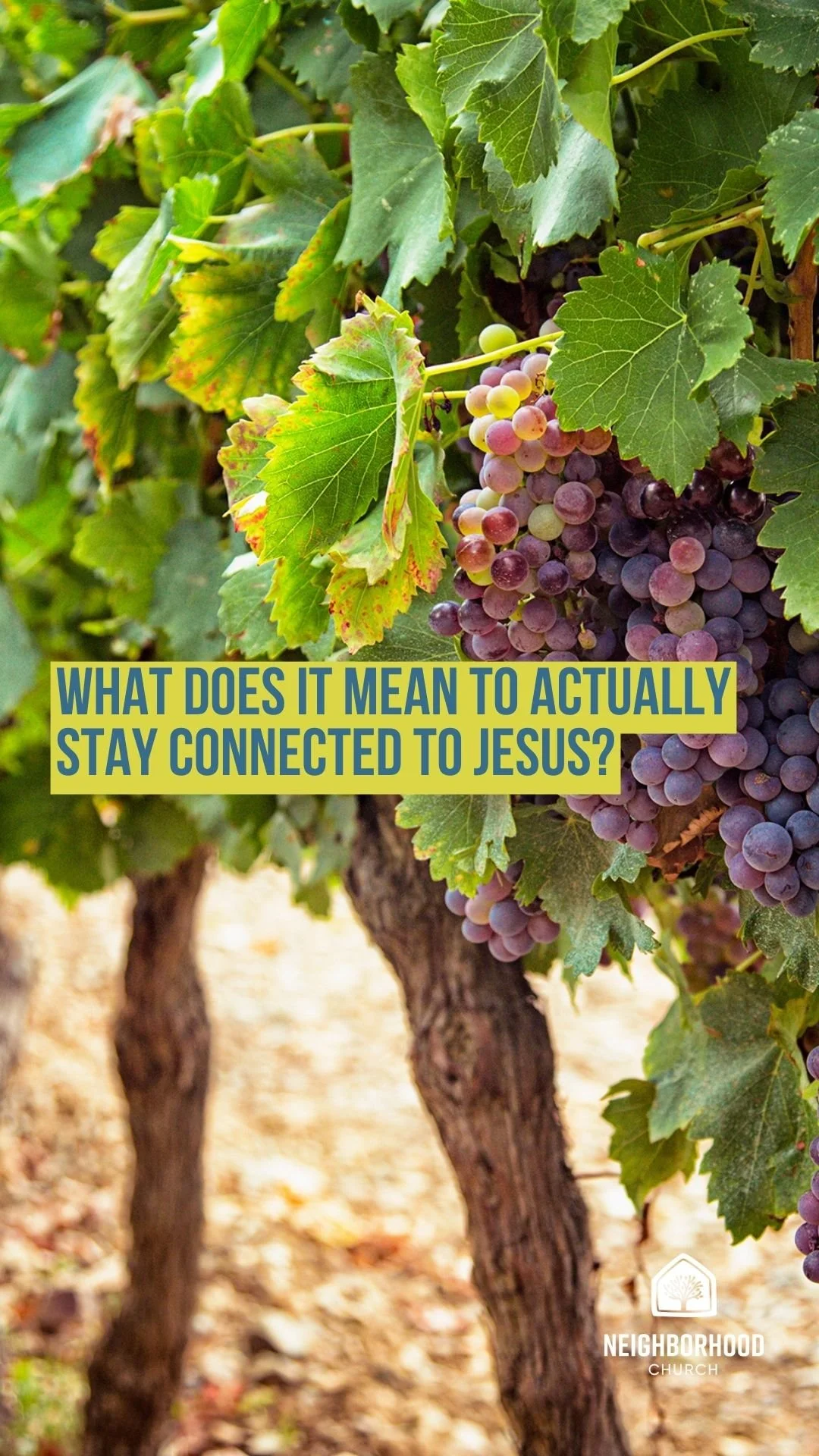 What does it mean to actually stay connected to Jesus?