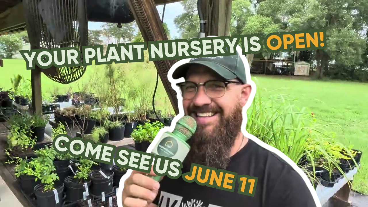 The Neighborhood Plant Market is Open — And We're Going Monthly! 🌱