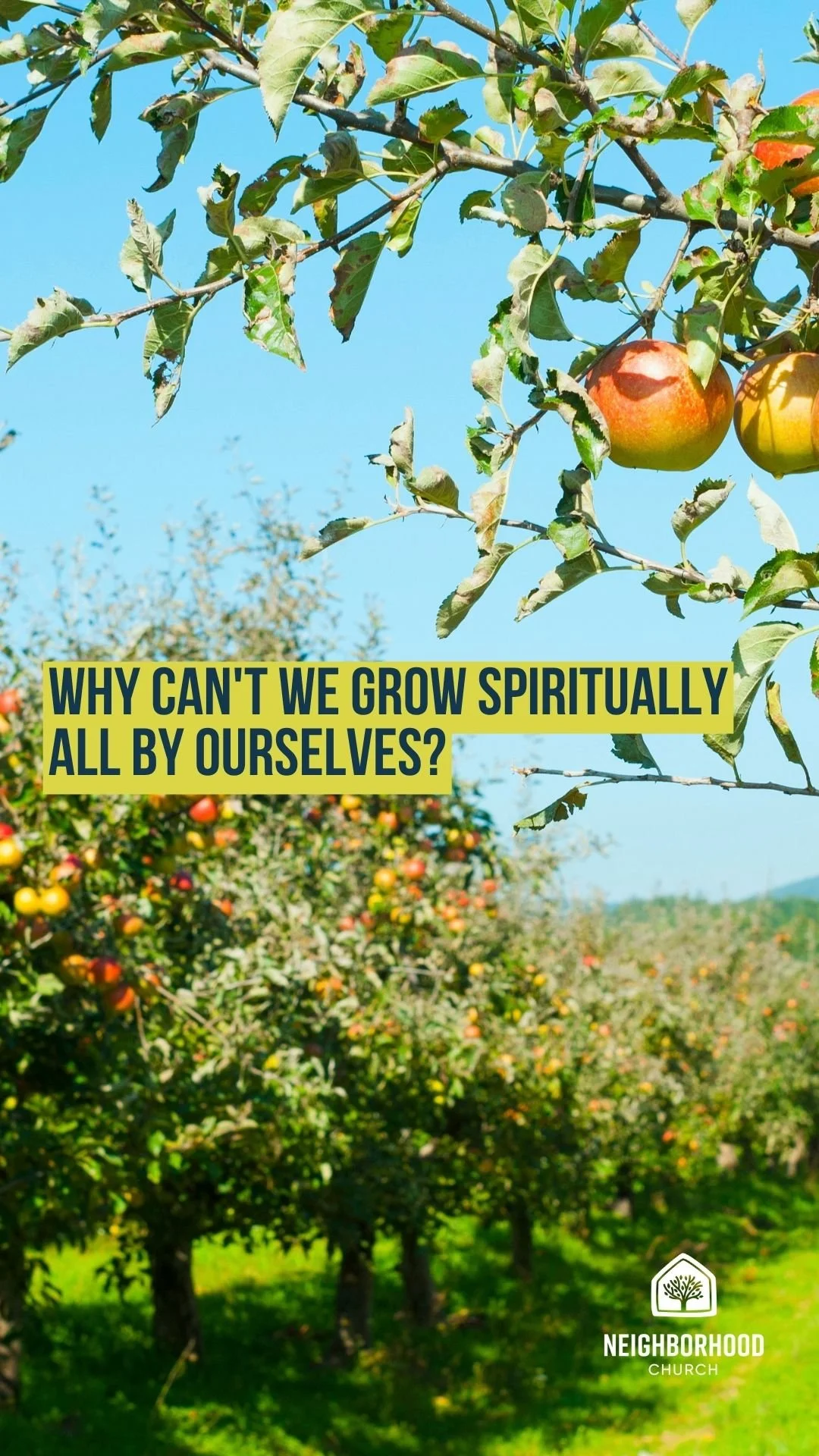 Why can't we grow spiritually all by ourselves?