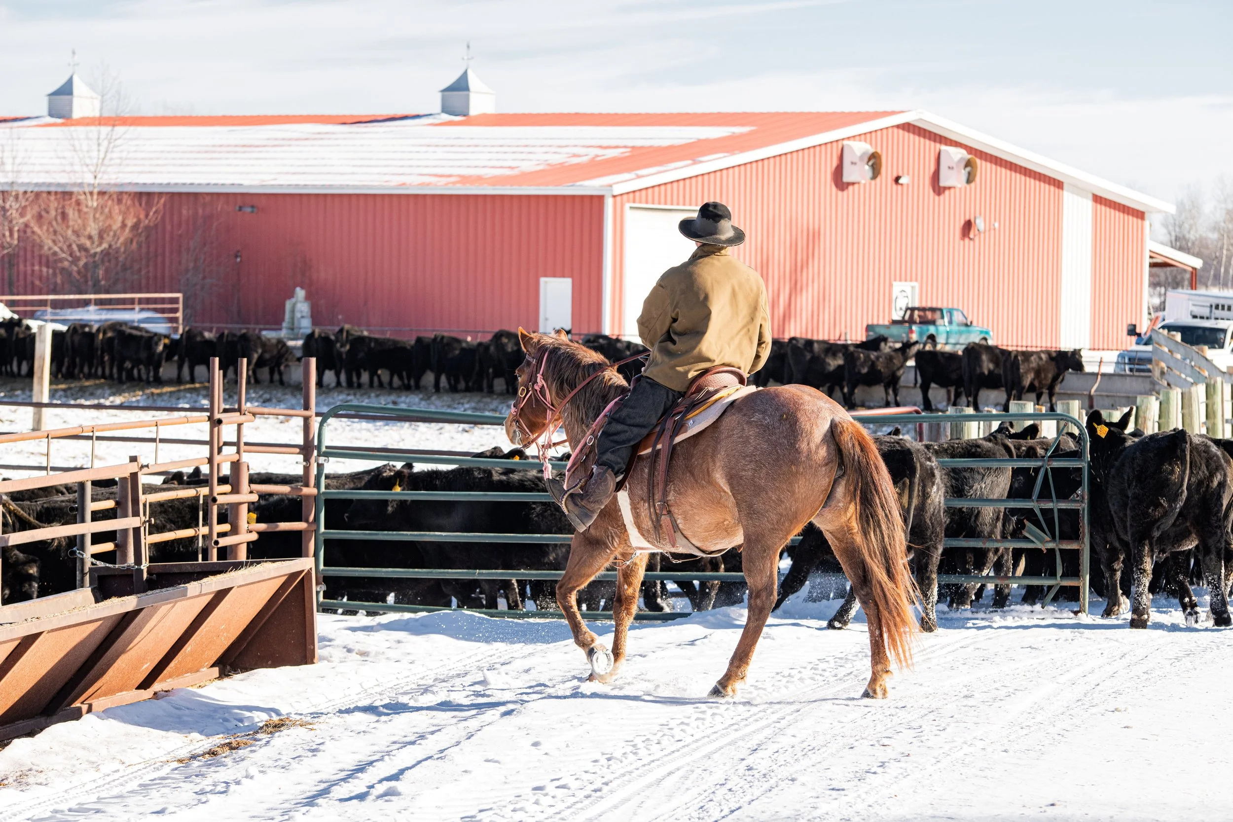 Filler - Sure Footed.jpg