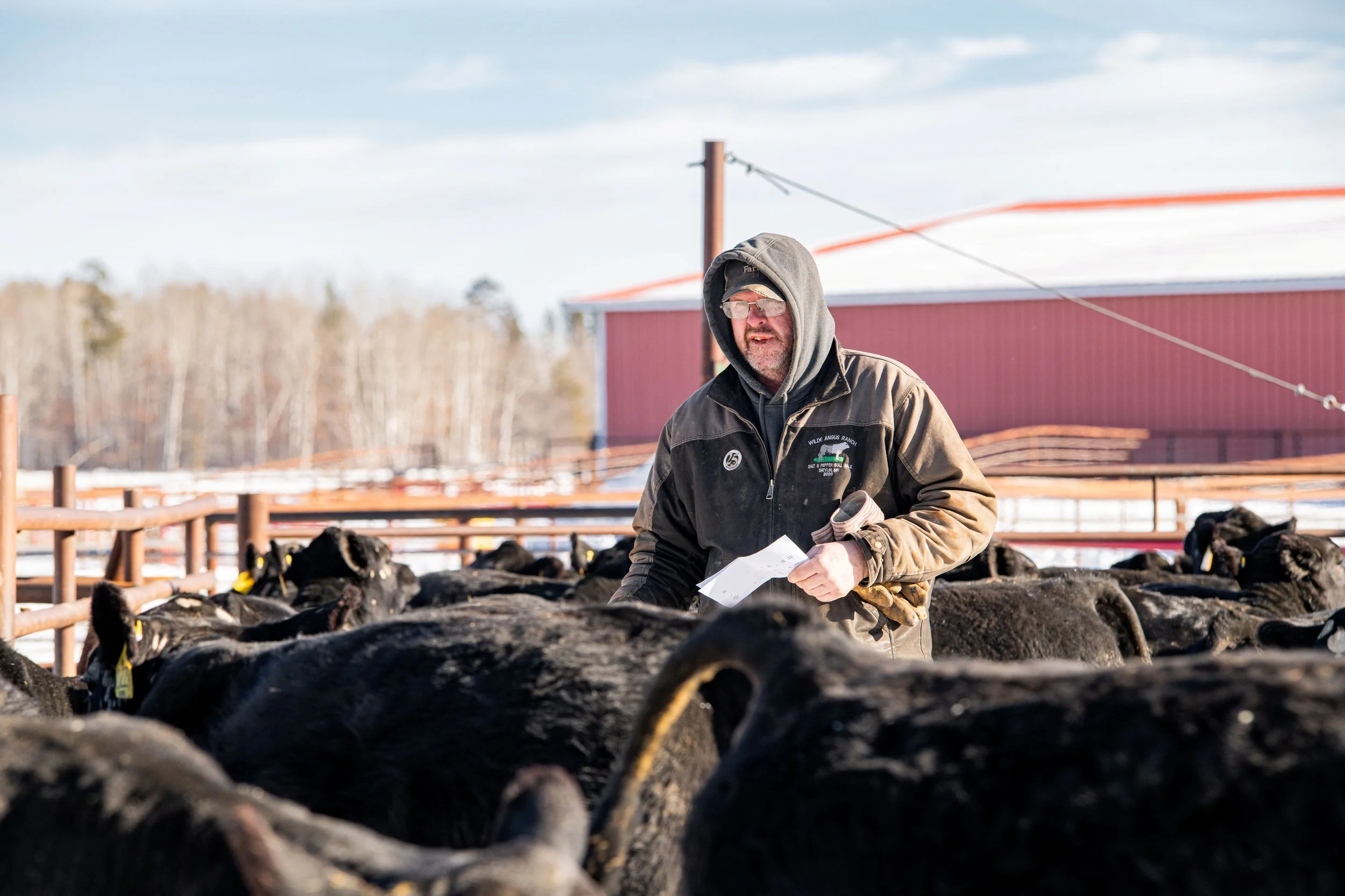 Wilde Angus Ranch