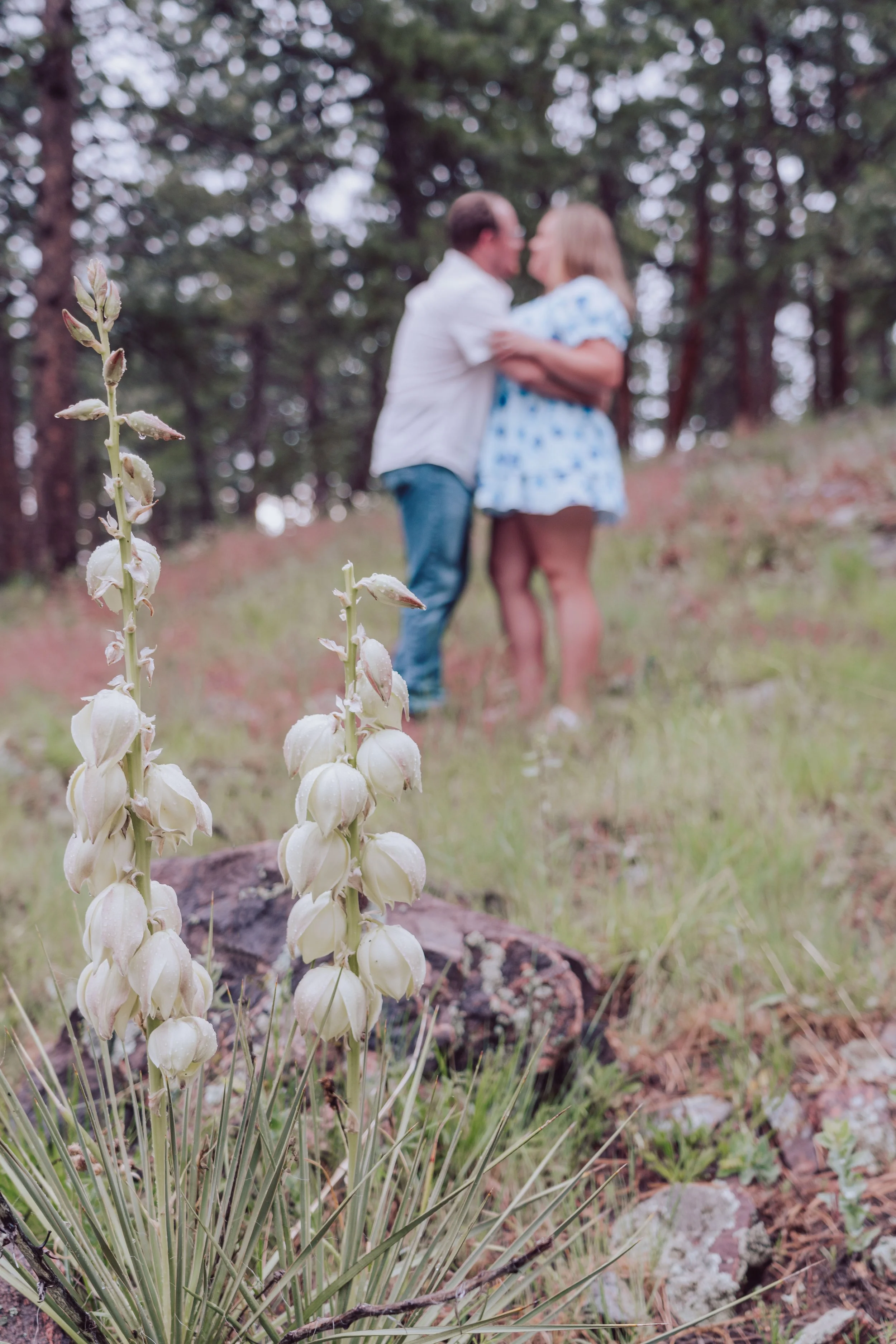 couples-photos-engagement-Golden-Colorado-mountains-golden-hour-01.jpg