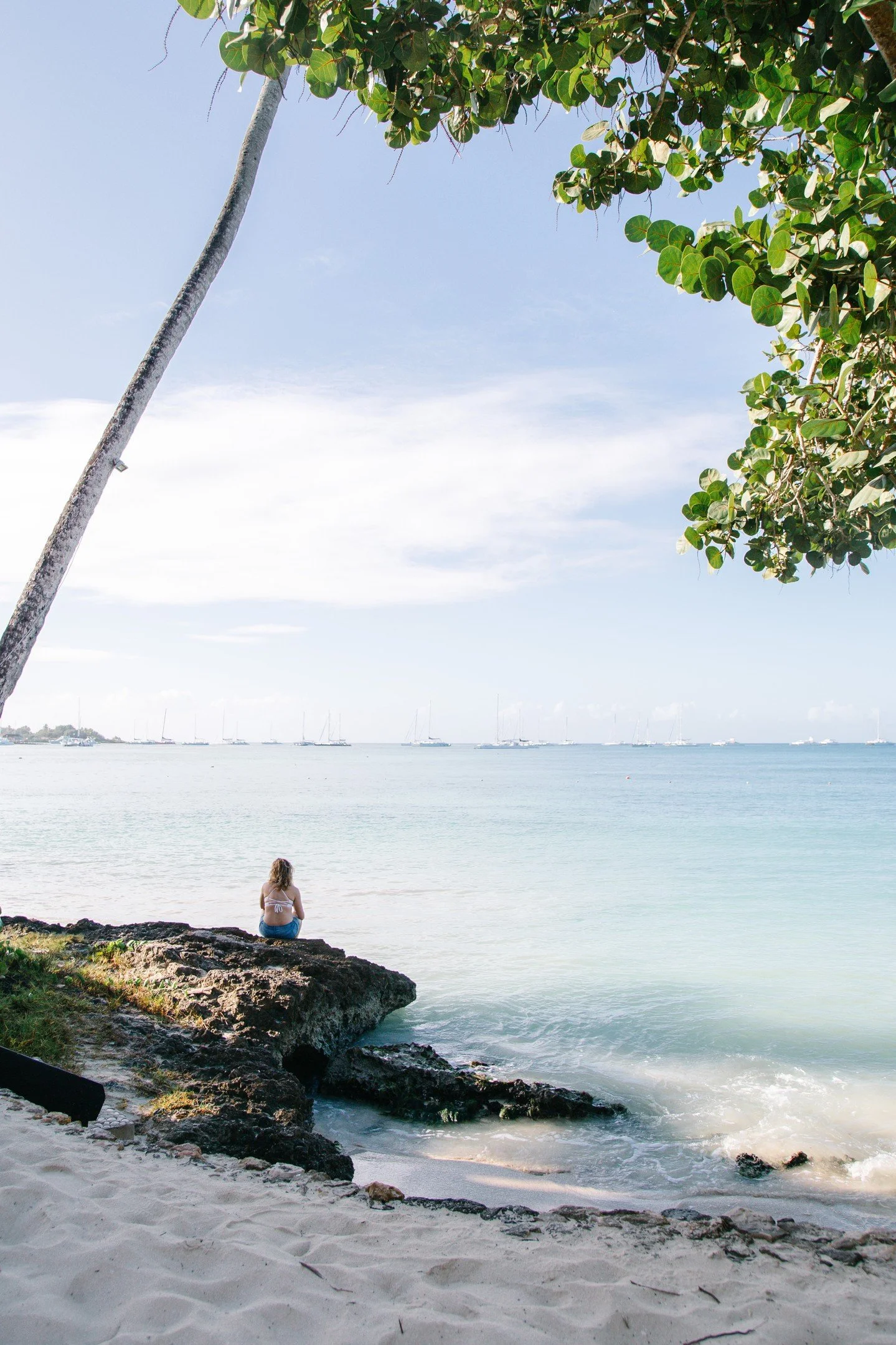 Little announcement: my next photo sessions come with sunshine and sea air. ☀️
I'll be in Palm Coast, FL on Nov 16 offering short &amp; easy mini photo sessions. It will be the same relaxed experience I'm known for in Colorado, just with a coastal br