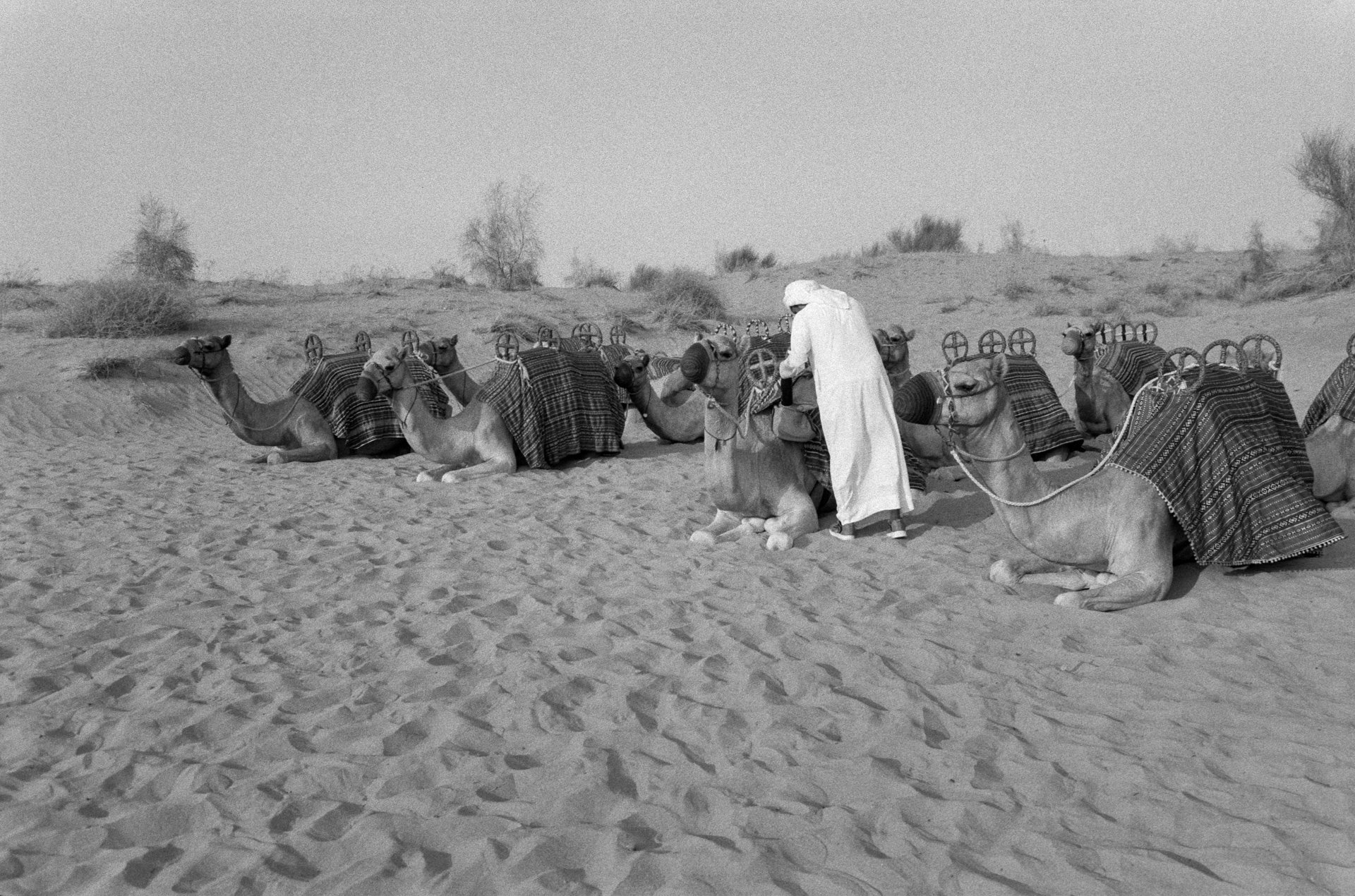 Dubai.JPEG