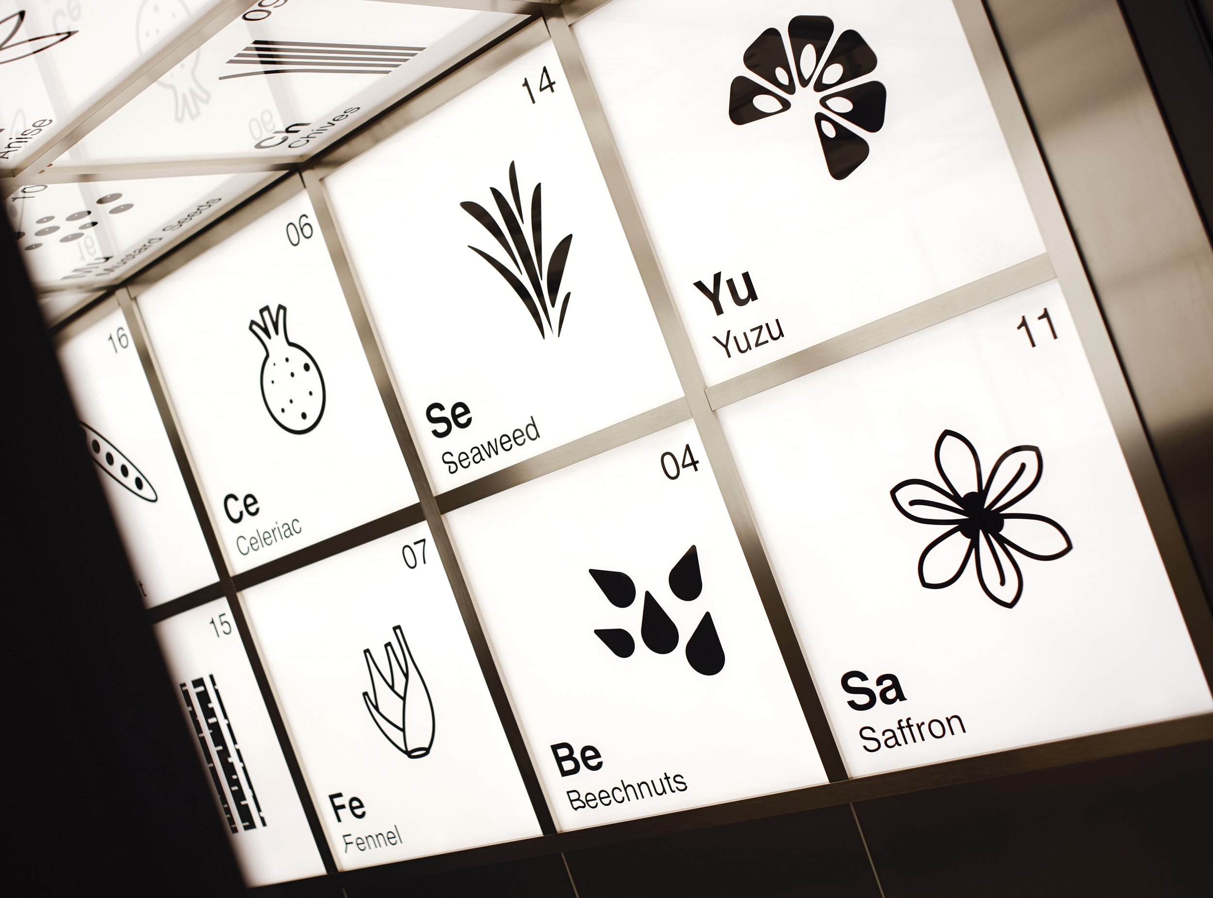 Visual_Branding_0164.JPG