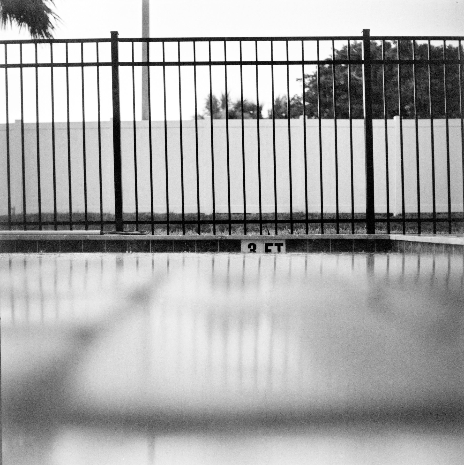 3FT_Florida_Yashicamat_7.2023.jpeg
