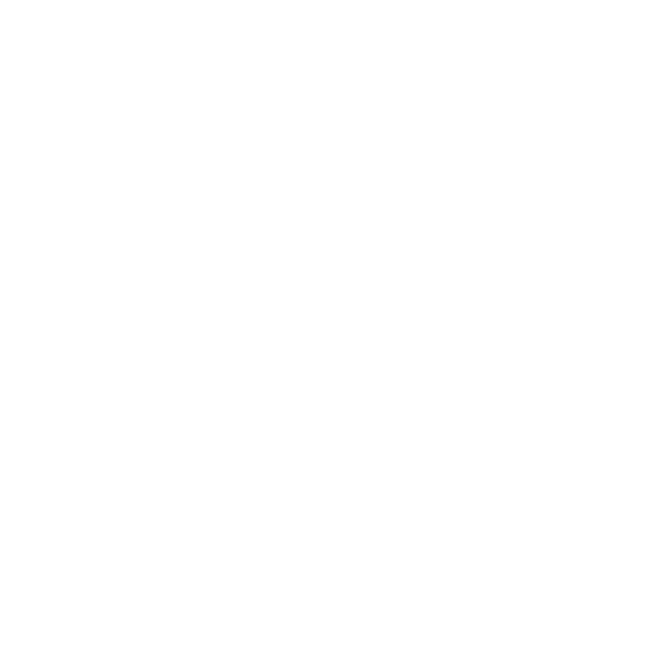 Evan Carter - Portfolio