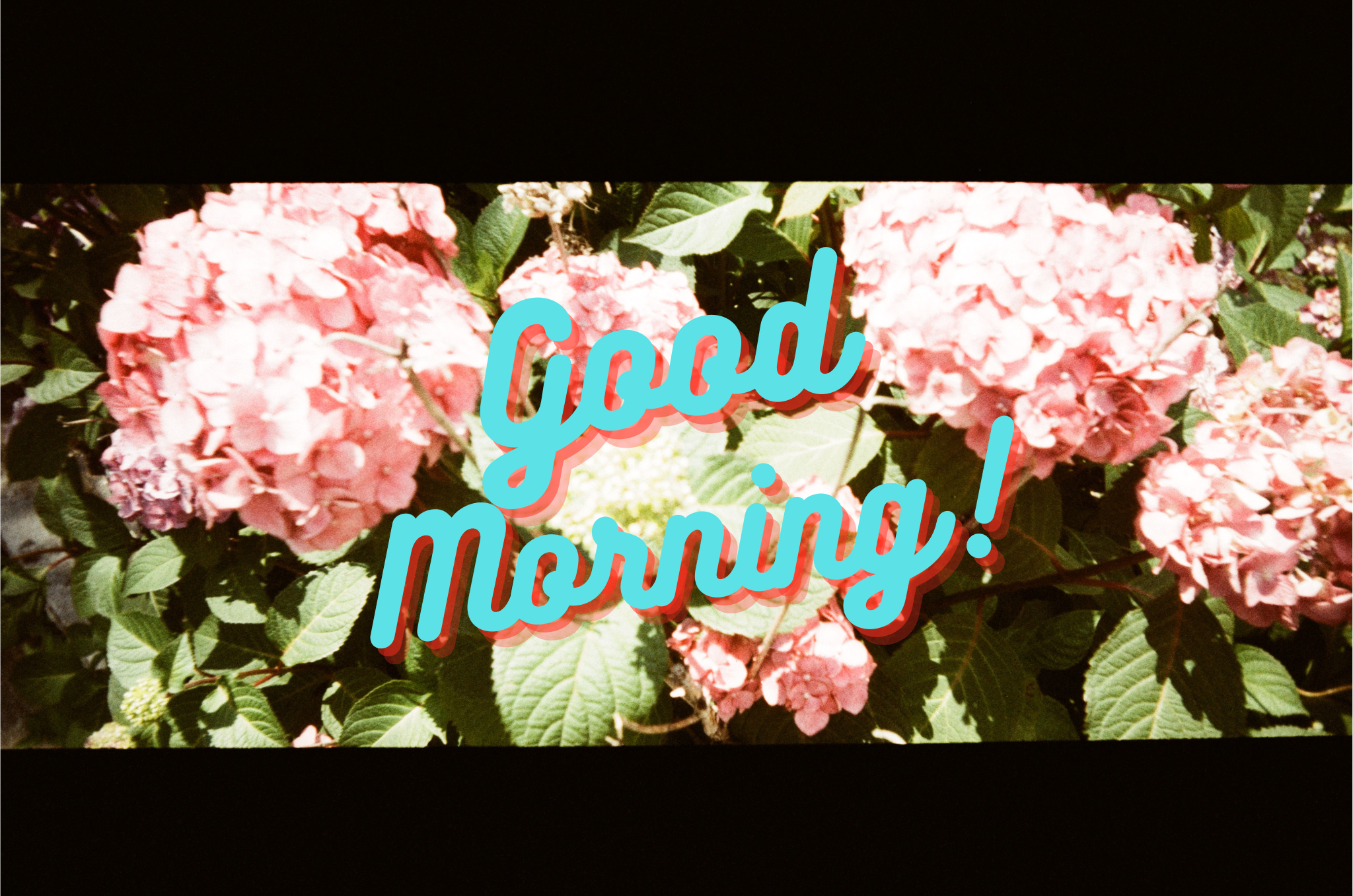 Nook Presents: Good Morning! A Brunch Party