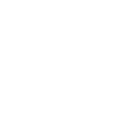 MASTERS & RIBAKOFF