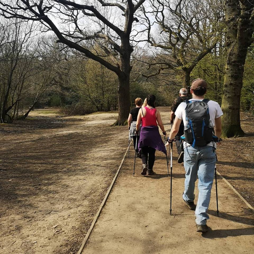 Nordic Walking in the Woods.jpg