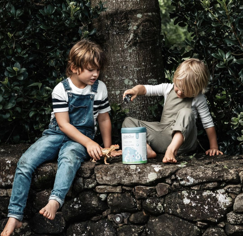 Screenshot_20240327-150050 (1).png