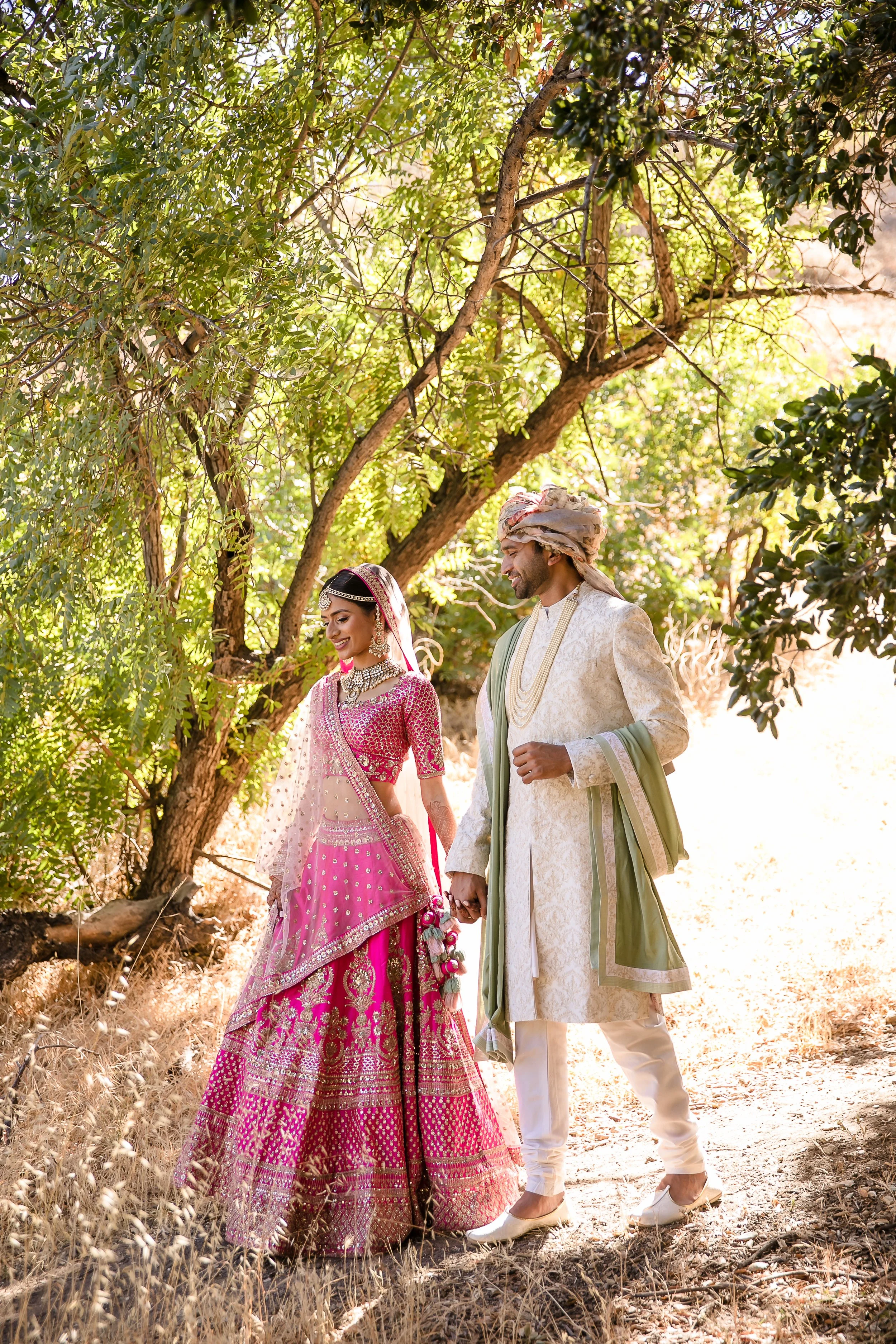 17-HG-Porter-Ranch-Indian-Wedding.jpg