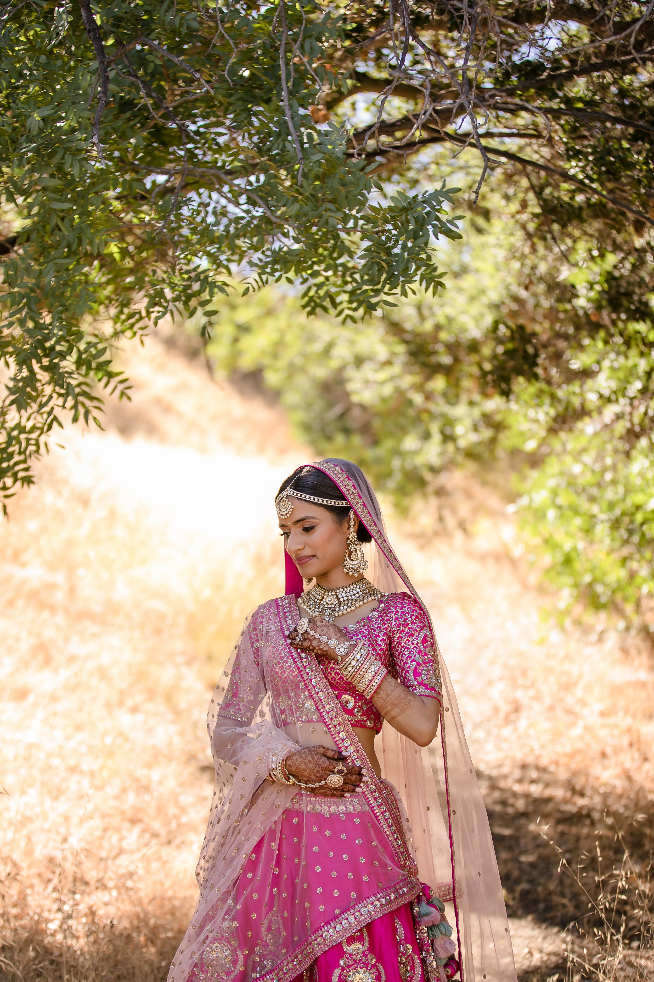 16-HG-Porter-Ranch-Indian-Wedding.jpg