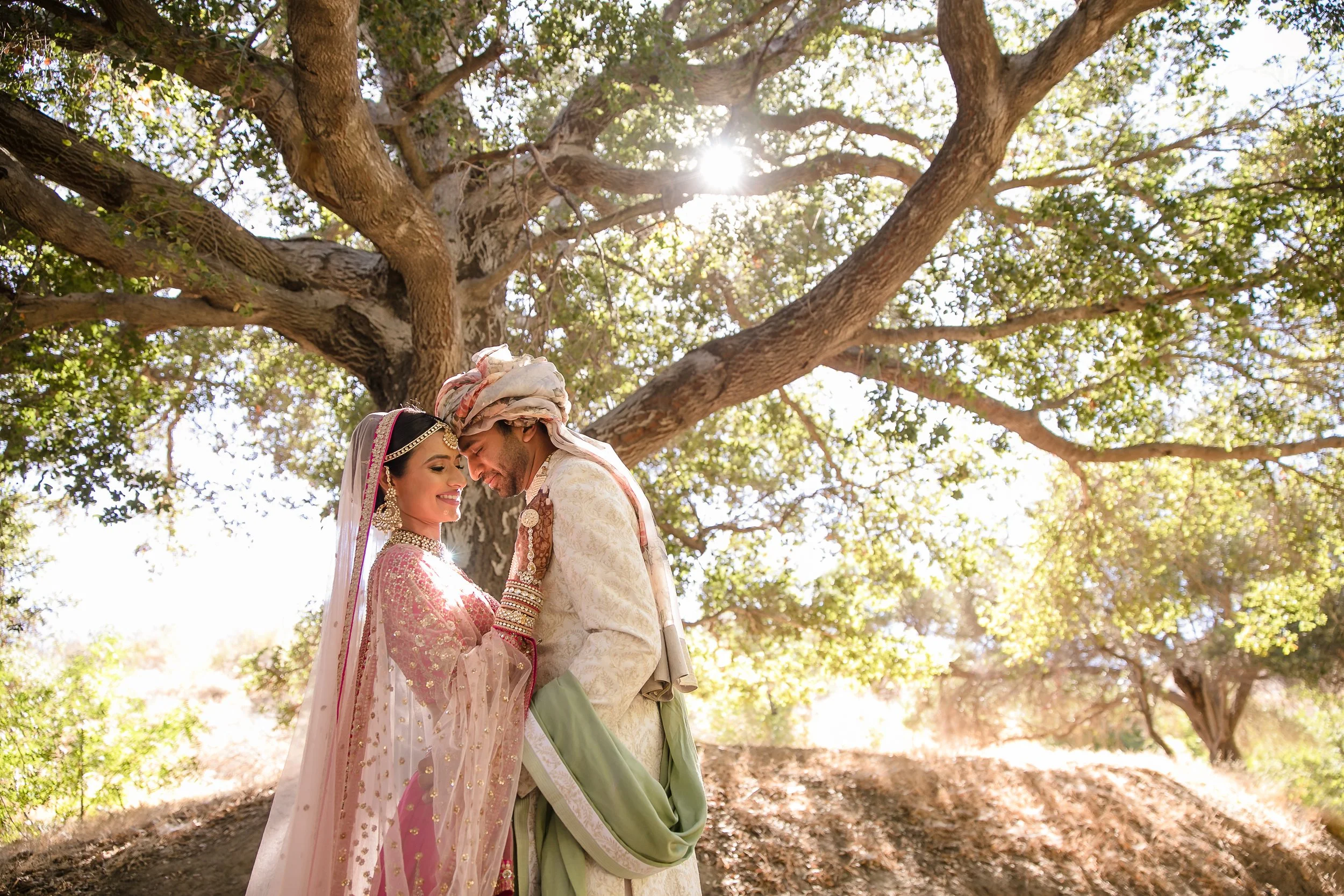 14-HG-Porter-Ranch-Indian-Wedding.jpg