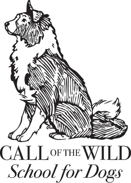 Call of the Wild School for Dogs