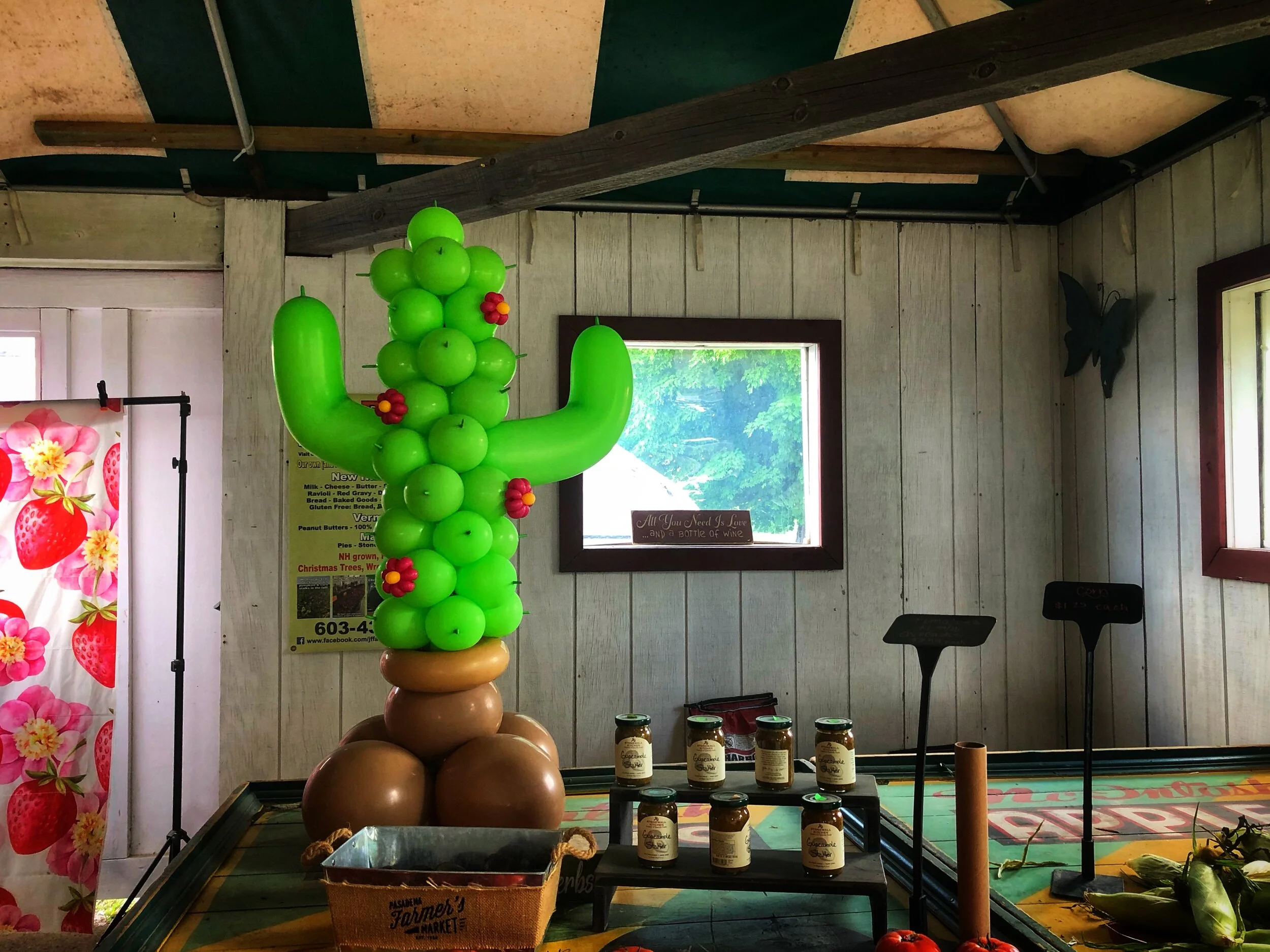 Eyecatching Cactus Balloon Sculpture by Silly Solutions Balloon Artist and Entertainment