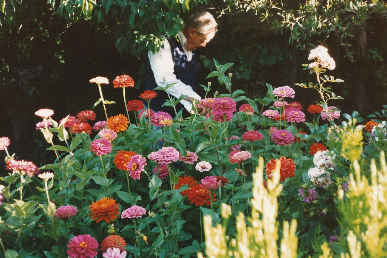 These Flowers.jpg