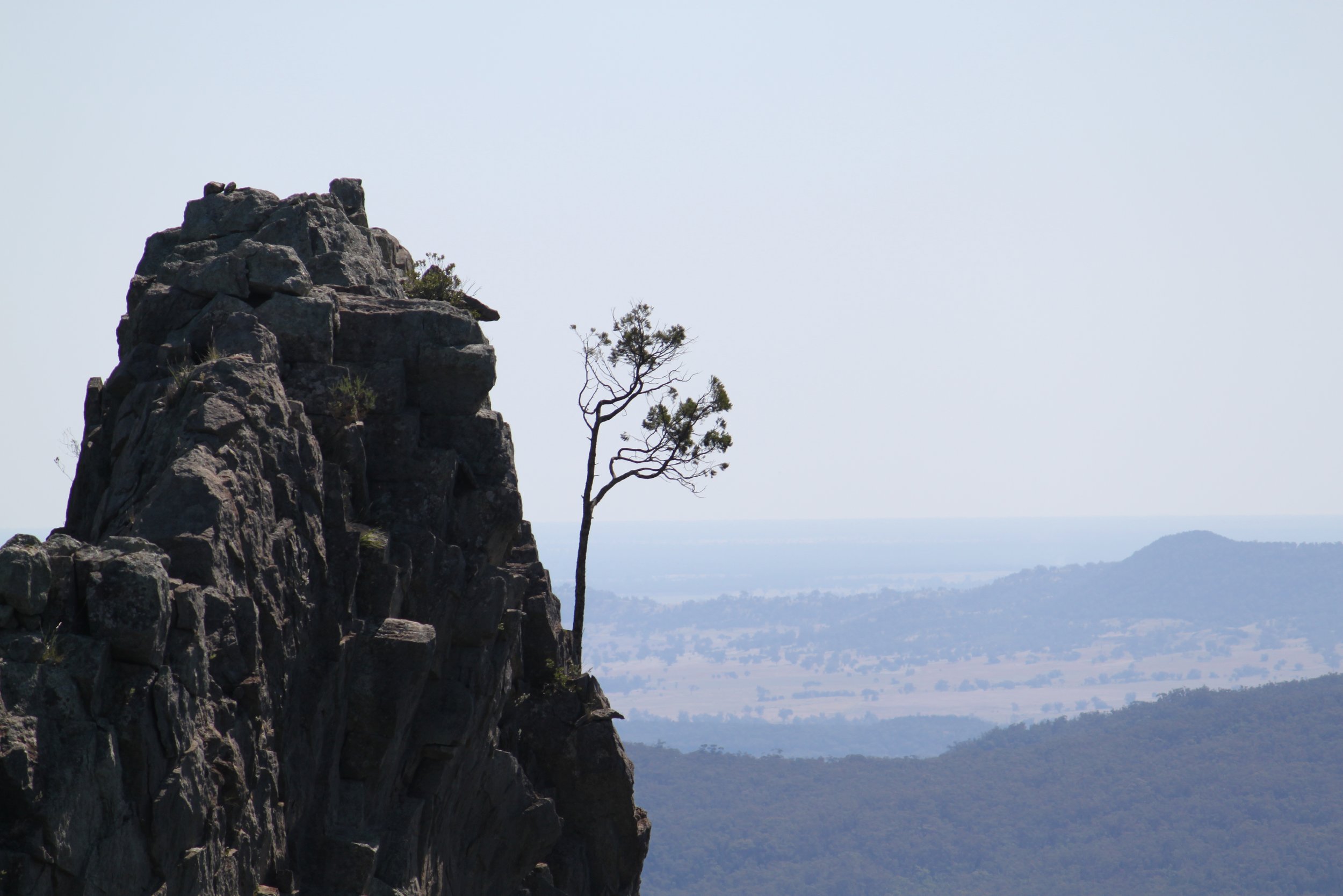 FofNat Single Cover.JPG