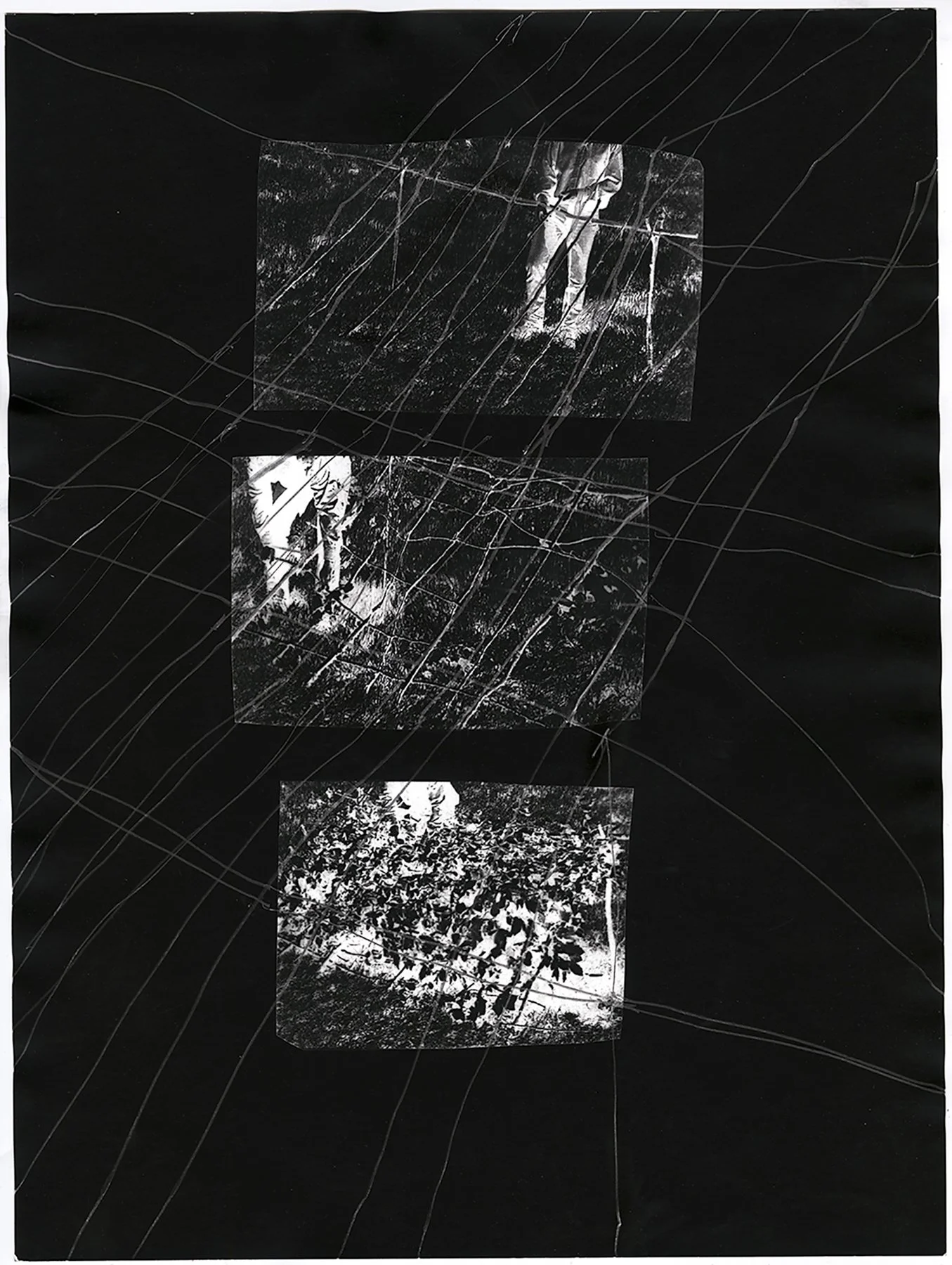 2019_Loose Structure.jpg