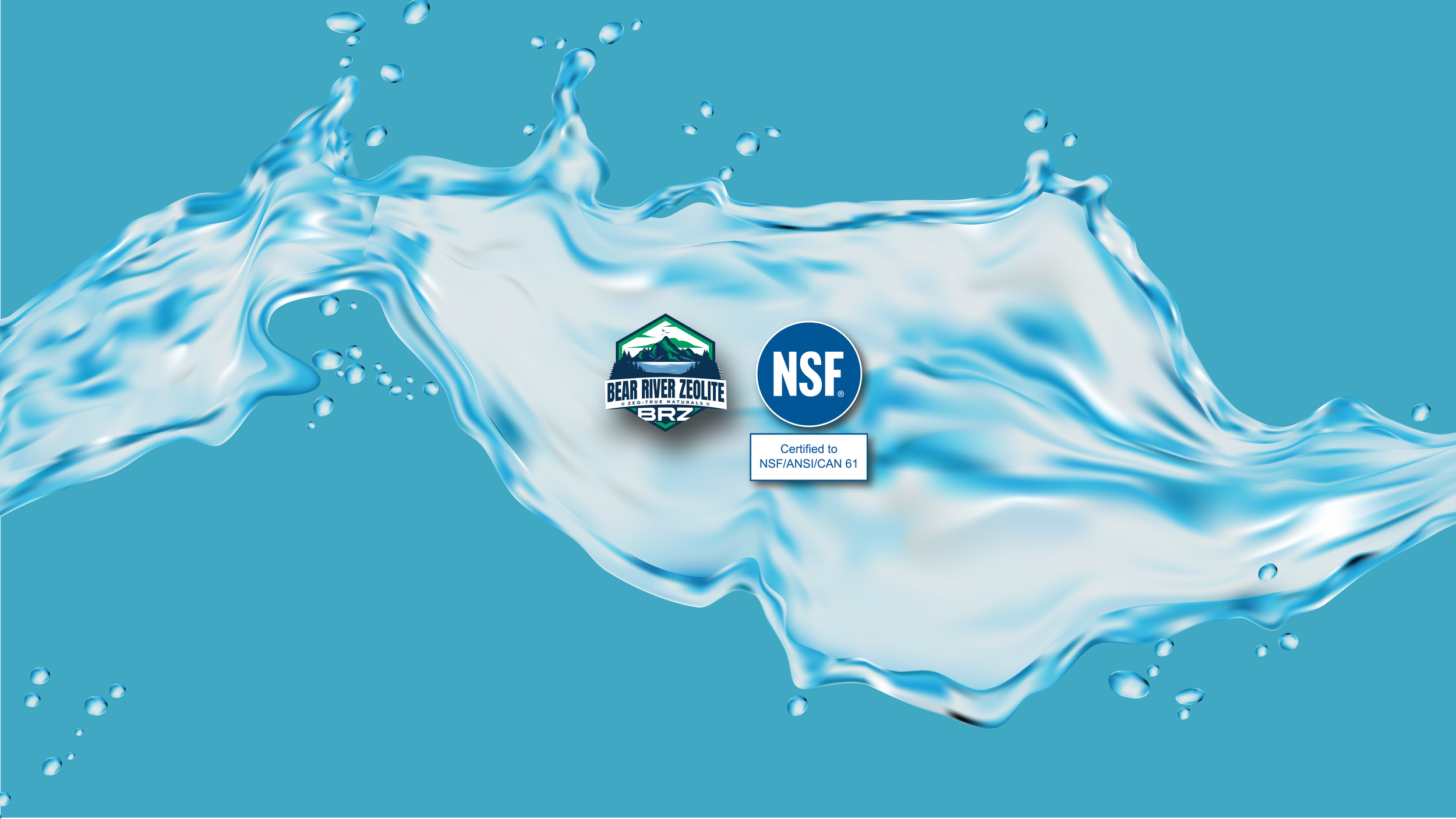 BRZ-NSF-WEB-BANNER.png