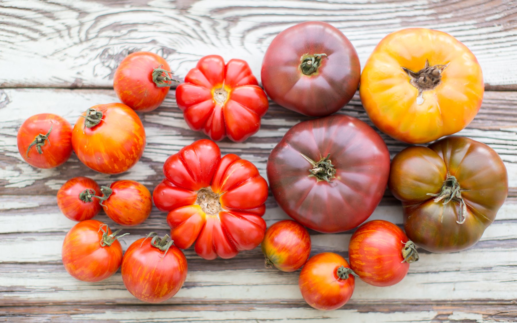 Heirloom Tomato Salad with Creamy Whipped Feta & Pistachio Pesto 