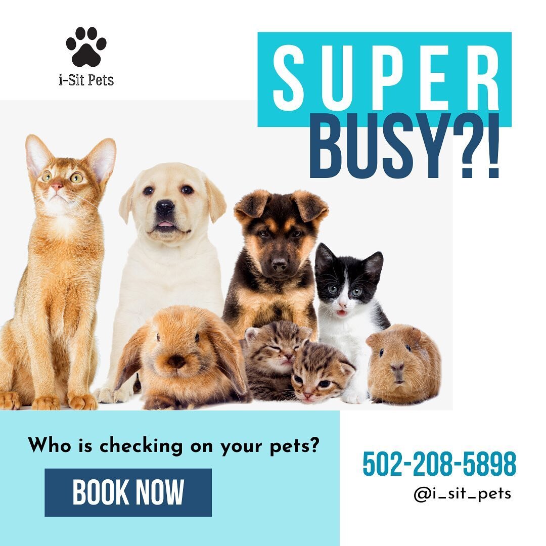 ❓Are you stressing because your fur baby is home alone all day? 🙀 𝗪𝗵𝗮𝘁&rsquo;𝘀 𝘄𝗼𝗿𝘀𝗲, is when you have to work overtime or get stuck in traffic! 𝗢𝗿 𝘄𝗵𝗮𝘁 if you have somewhere to go right after work?! ⁣
⁣
𝗛𝗮𝘃𝗲 𝗻𝗼 𝗳𝗲𝗮𝗿! 𝗜-𝗦