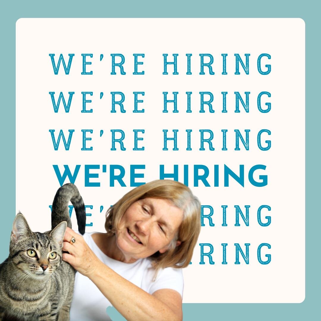 If you live in or around the Louisville KY area, check it out! 👇🏼

This job is the perfect fit for someone who

👉🏻 Is retired and LOVES animals
👉🏻 Has experience caring for pets and a home
👉🏻 Is warm and inviting
👉🏻 Finds joy in playing and