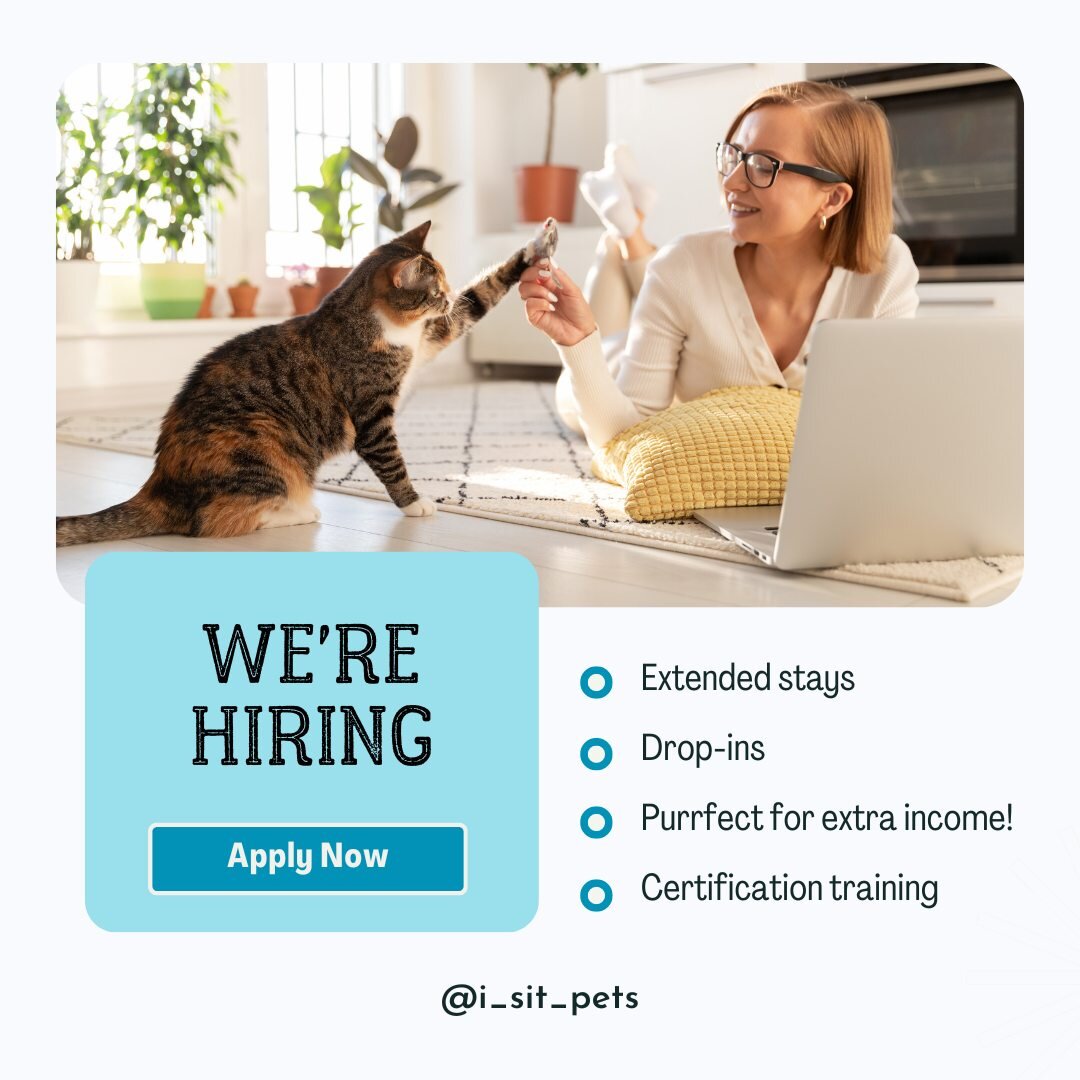 🐾 Are you a 𝗽𝗲𝘁 𝗲𝗻𝘁𝗵𝘂𝘀𝗶𝗮𝘀𝘁 with experience in pet care and home management? ⁣
⁣
👉 Do you find joy in playing and caring for animals, and are warm and inviting? ⁣
⁣
𝗜𝗳 𝘀𝗼, 𝗷𝗼𝗶𝗻 𝗼𝘂𝗿 𝘁𝗲𝗮𝗺 𝗮𝘁 𝗶-𝗦𝗶𝘁 𝗣𝗲𝘁𝘀!⁣ 🏠🐶🐱⁣
⁣