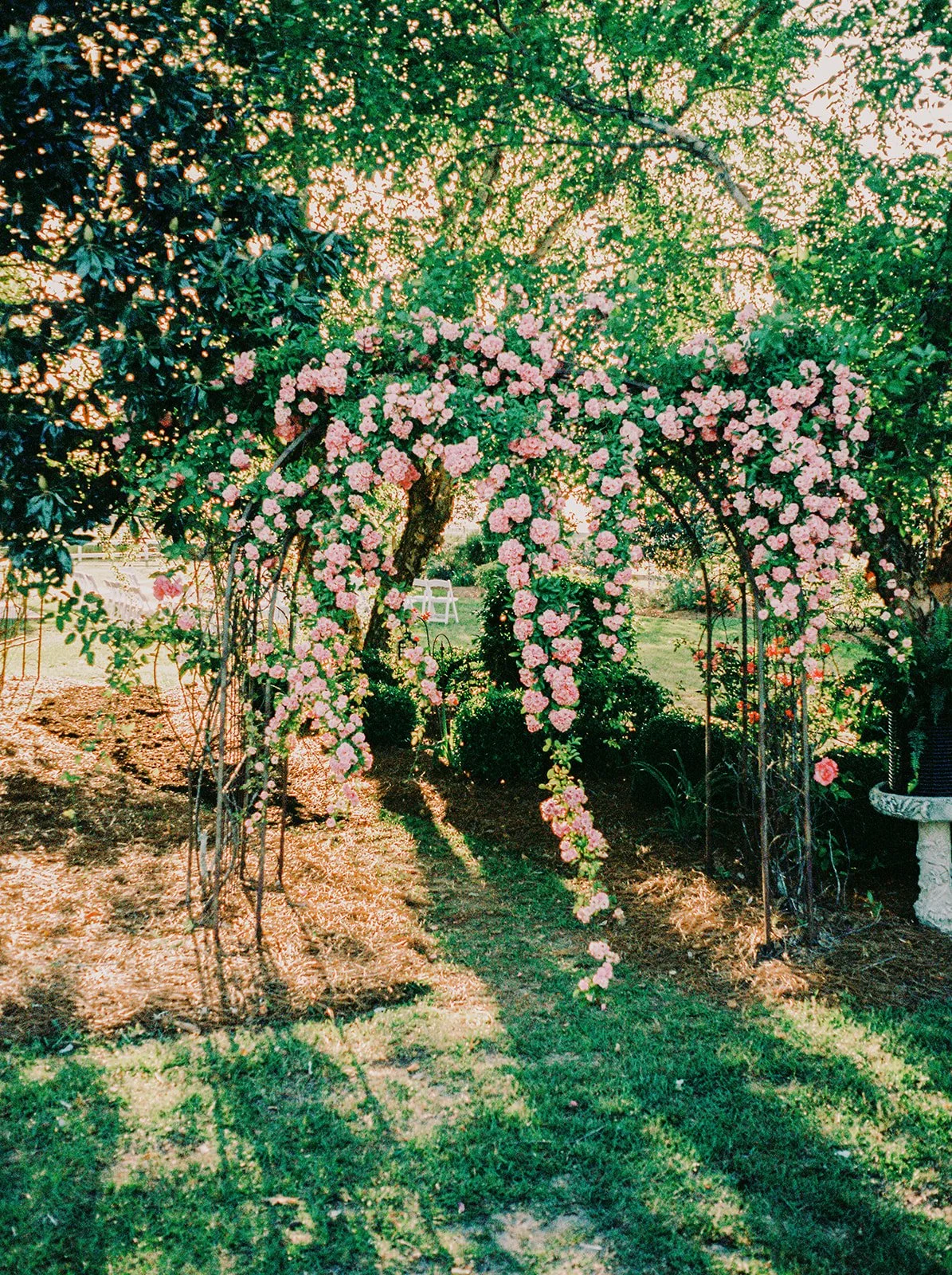 virginia-film-photographers.jpg