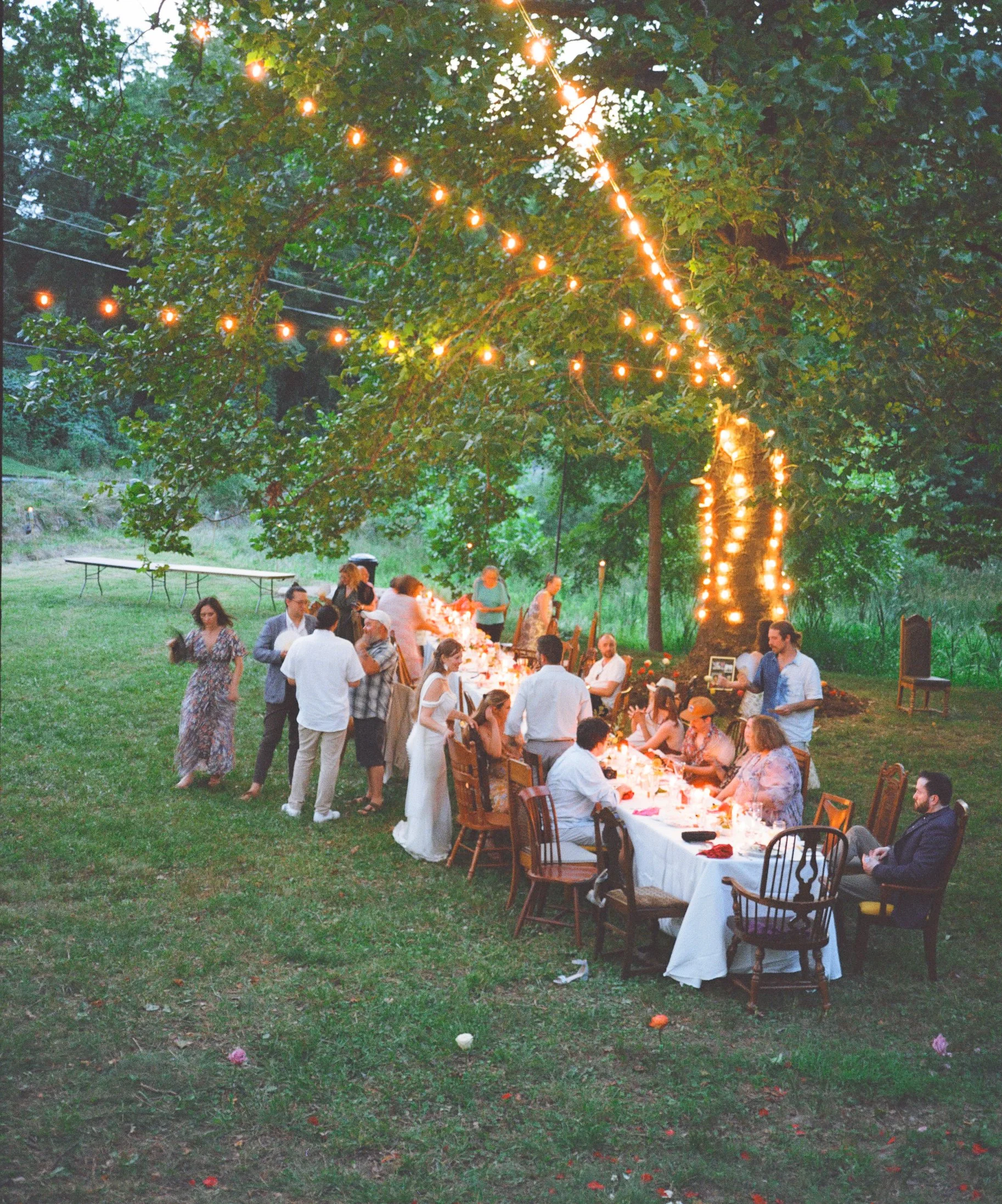 steph & jp on film: a richmond, virginia backyard wedding