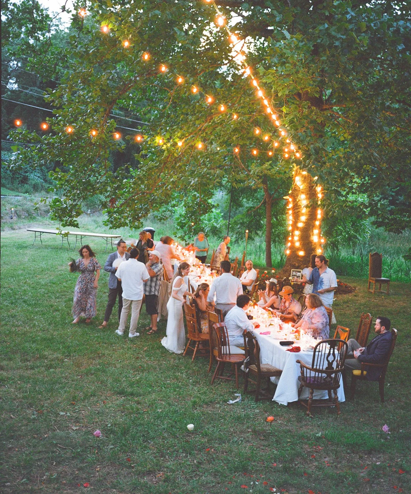 steph & jp on film: a richmond, virginia backyard wedding