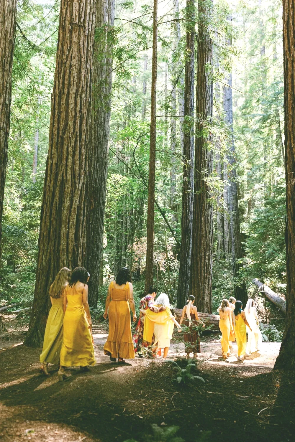 mendocino-wedding-A%2BB-pre-ceremony-Diana-Lake-Photography156.webp