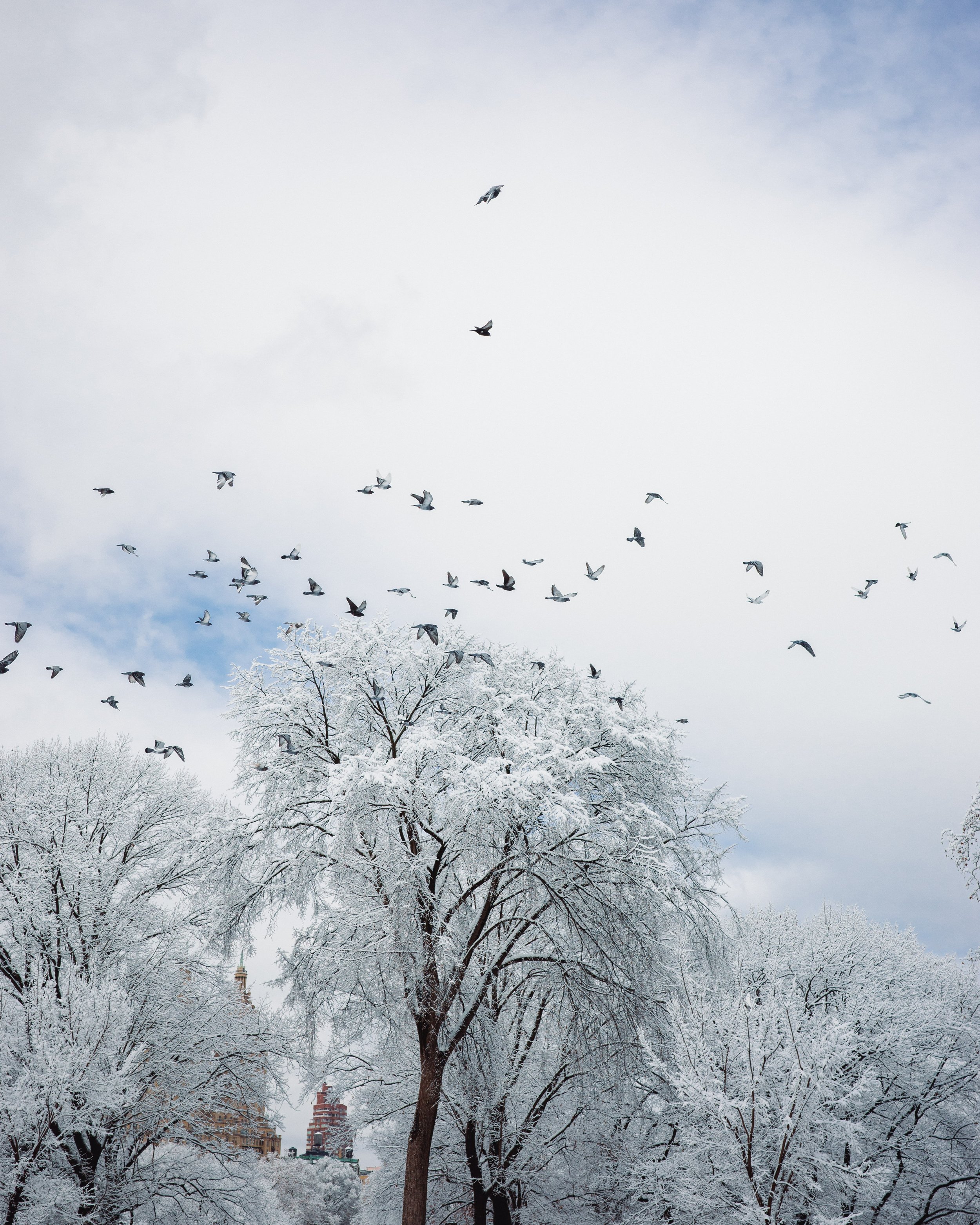 film photography.jpg