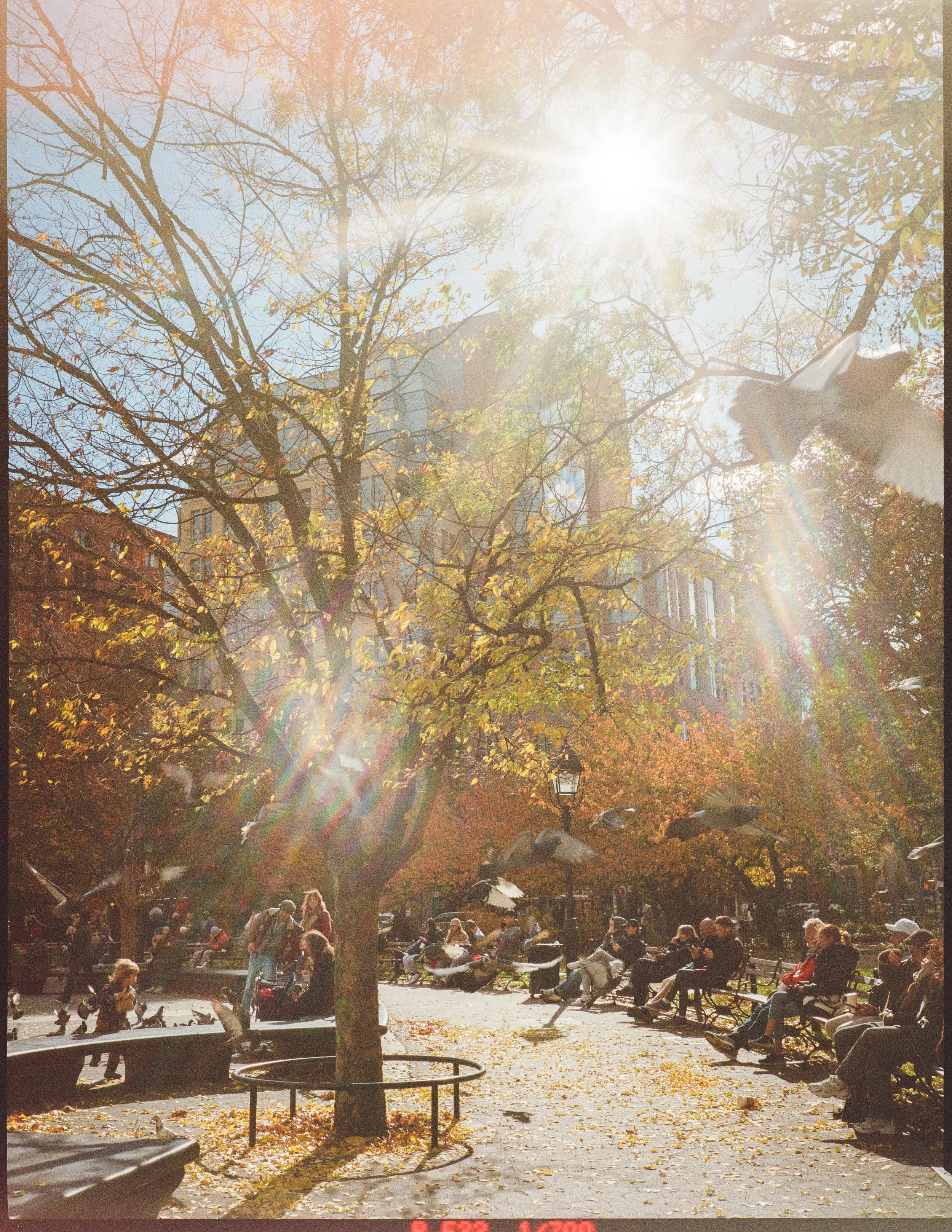 film-photographer-nyc.jpg