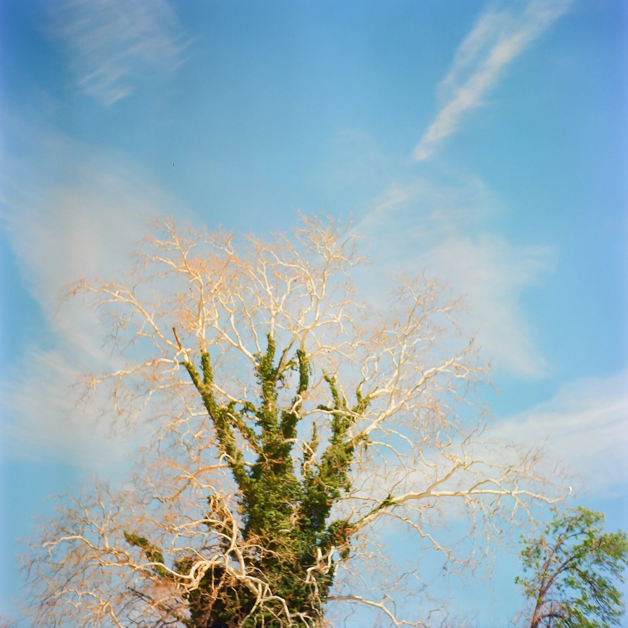 documentary-film-photographer.jpg