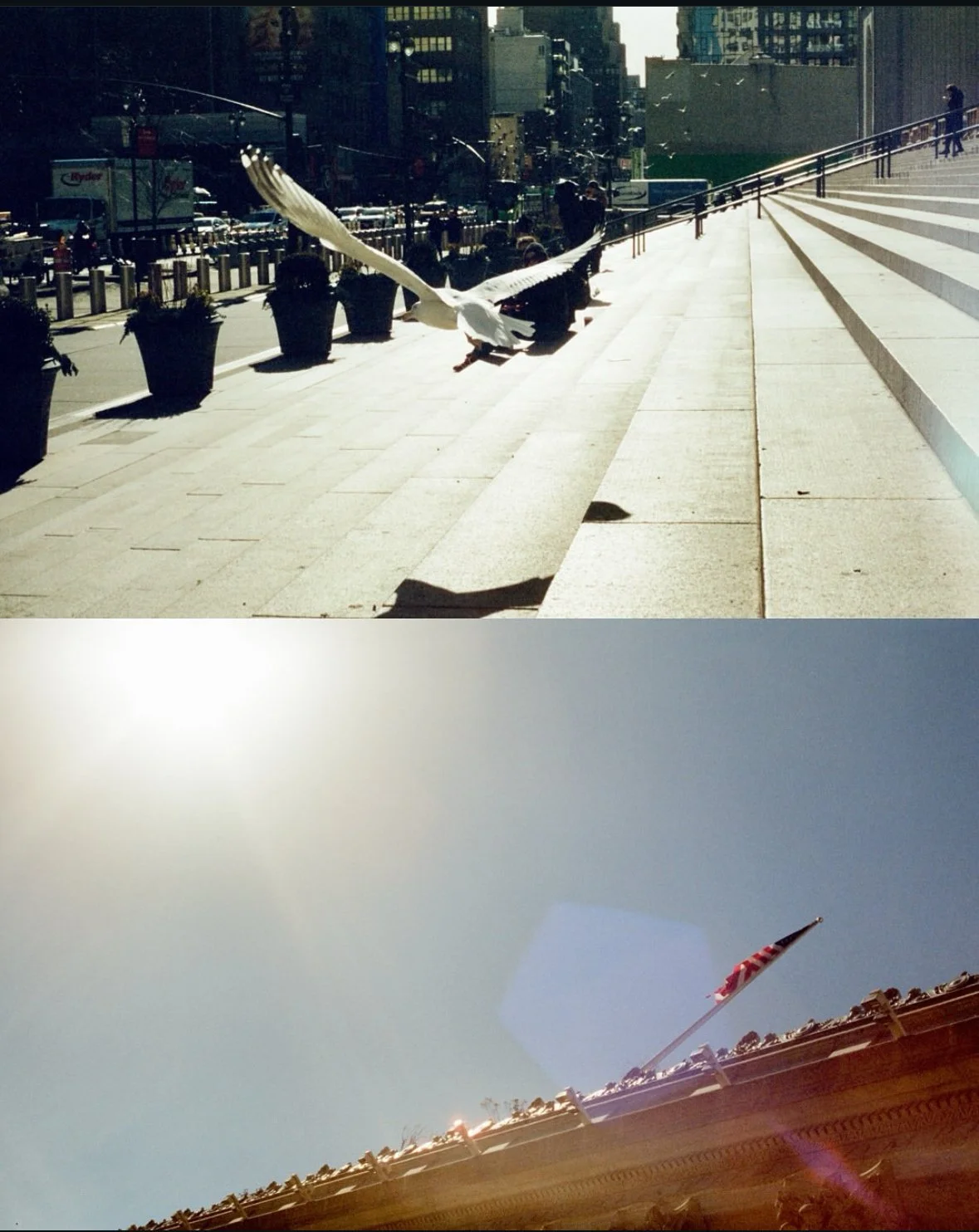 new-york-documentary-film-photographer.jpg