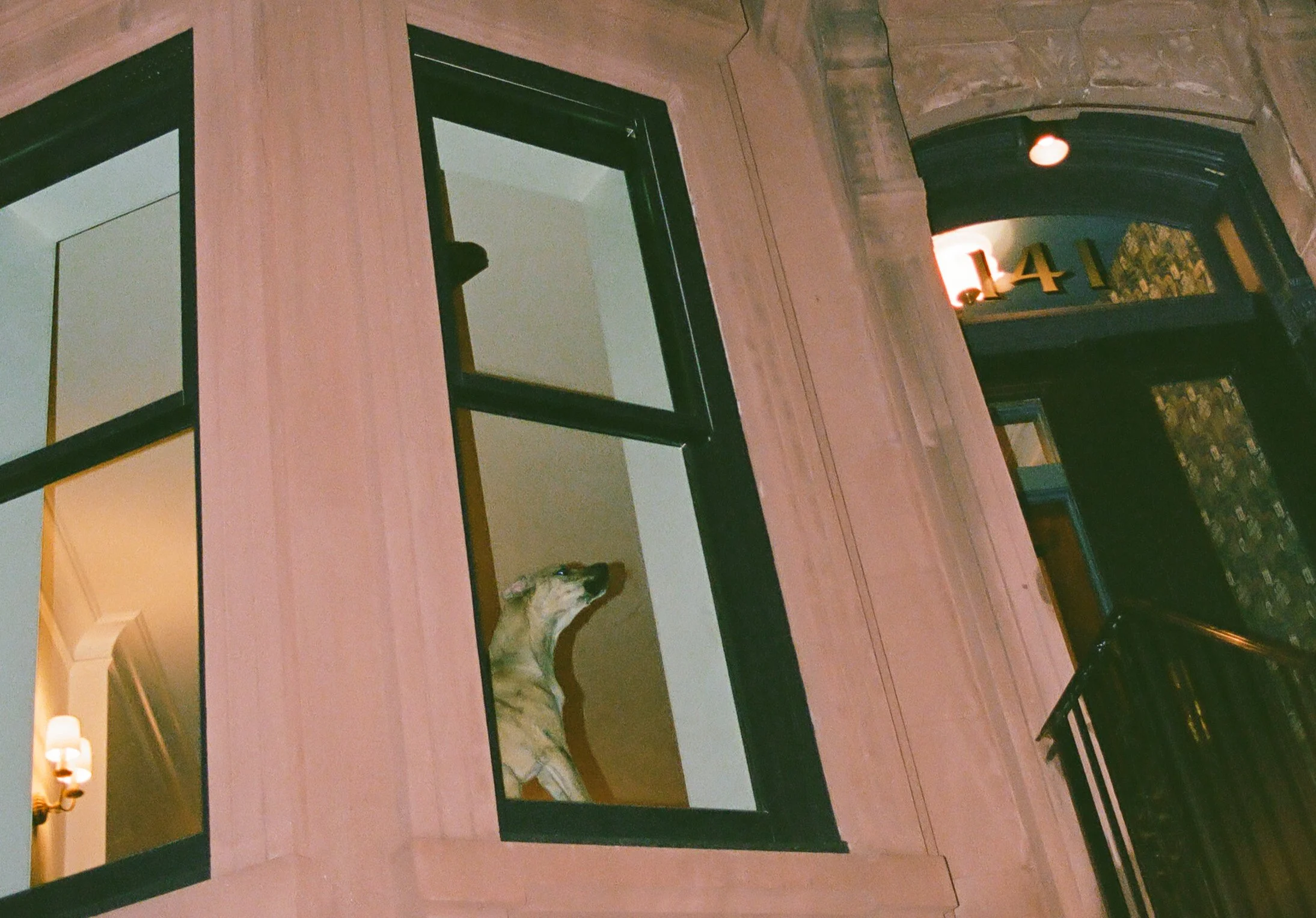 nyc-wedding-photographer.jpg