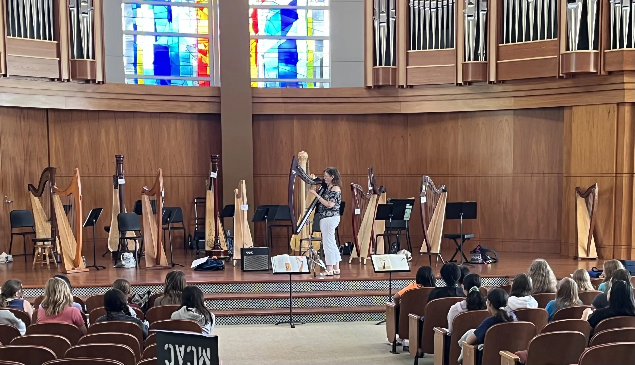 2023 demo with Electric harp