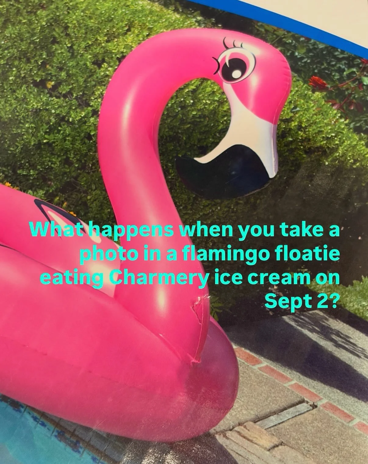 Meet us at @thecharmery on Wednesday September 2nd, and when you send us a photo wearing our flamingo floatie with your ice cream, we&rsquo;ll enter you into a drawing for a very cute squishy toy!