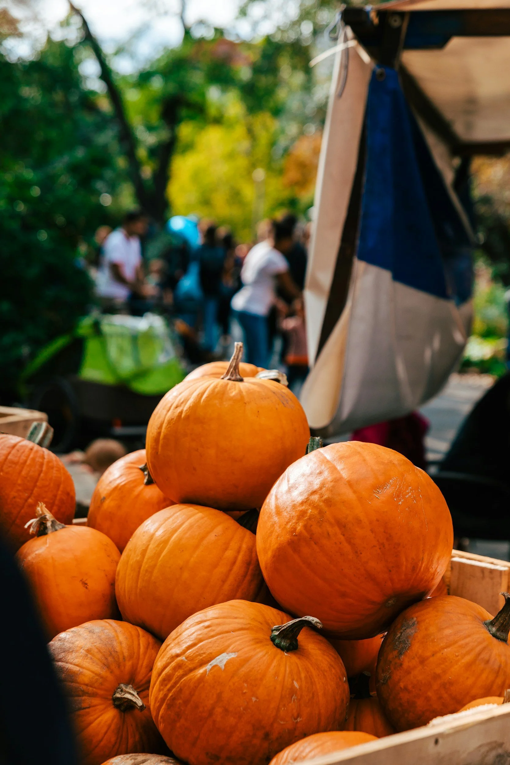 Pizza, Pints and Pumpkins