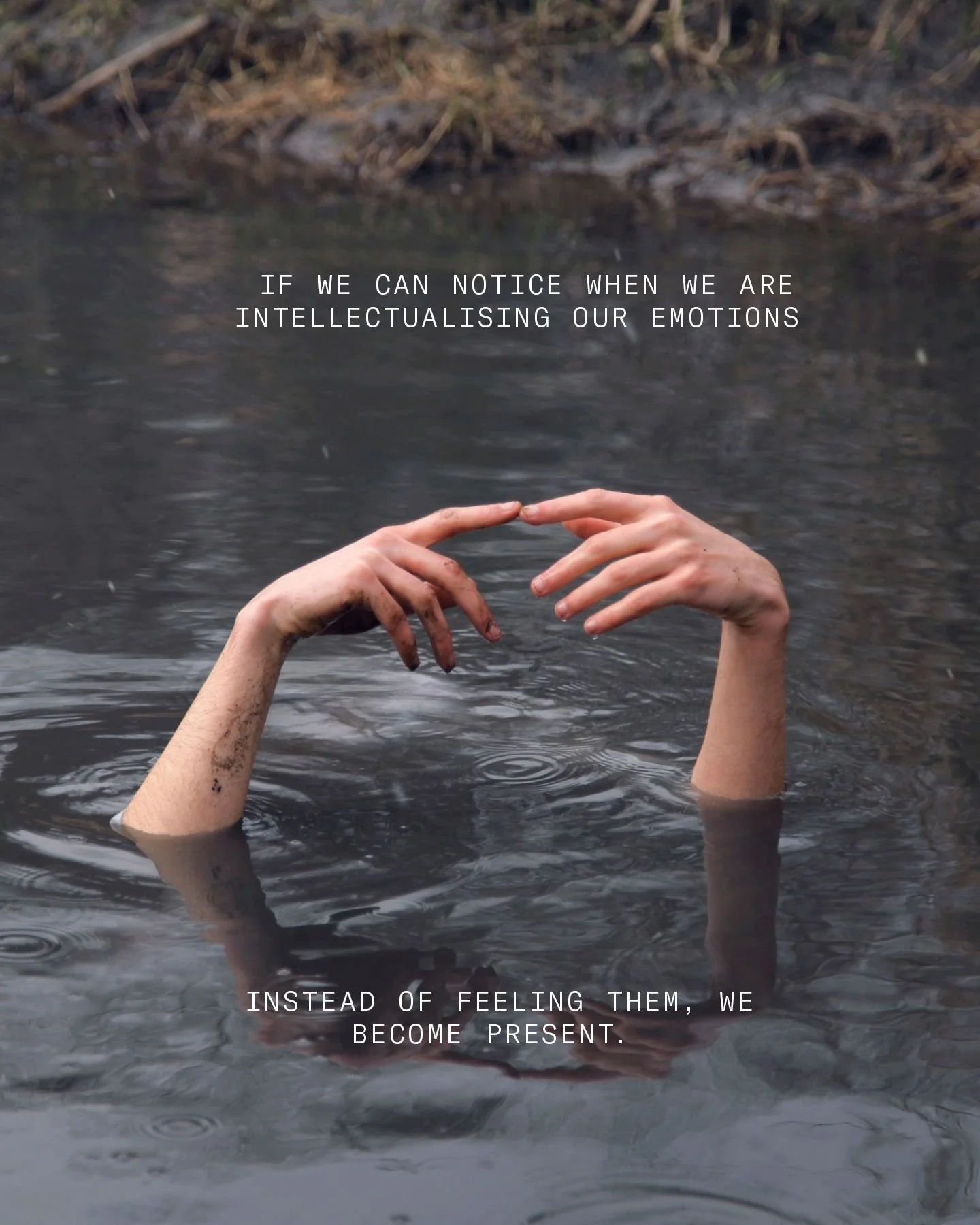 From this place, we have agency in our healing process. &ndash; (Hue) Therapy